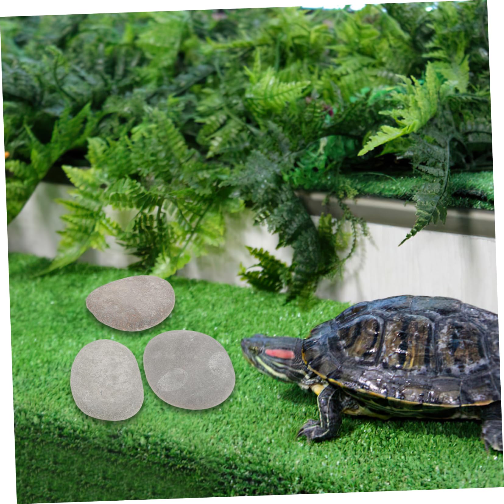 BESPORTBLE Sonnenplätze mit Flacher Oberfläche für Schildkröten 3 Stück und Zufällige Farbe aus Natürlichem Stein Geeignet für Aquariumdekoration und Reptilienlebensräume Geeignet für Süß