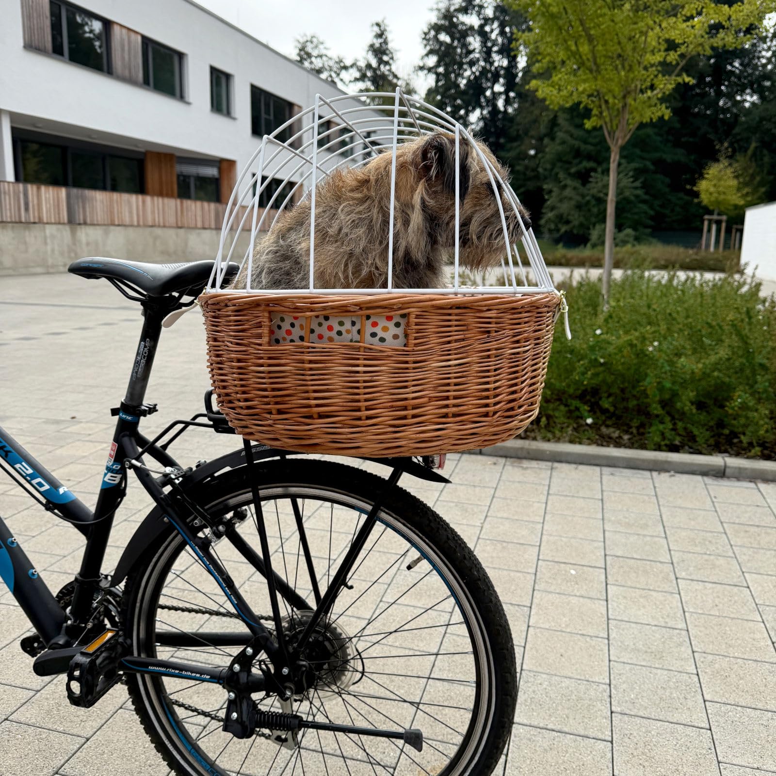 Aumüller Fahrrad-Tierkorb Gr. XL mit Polstereinlage, L: 68 cm - Gepäckträgermontage