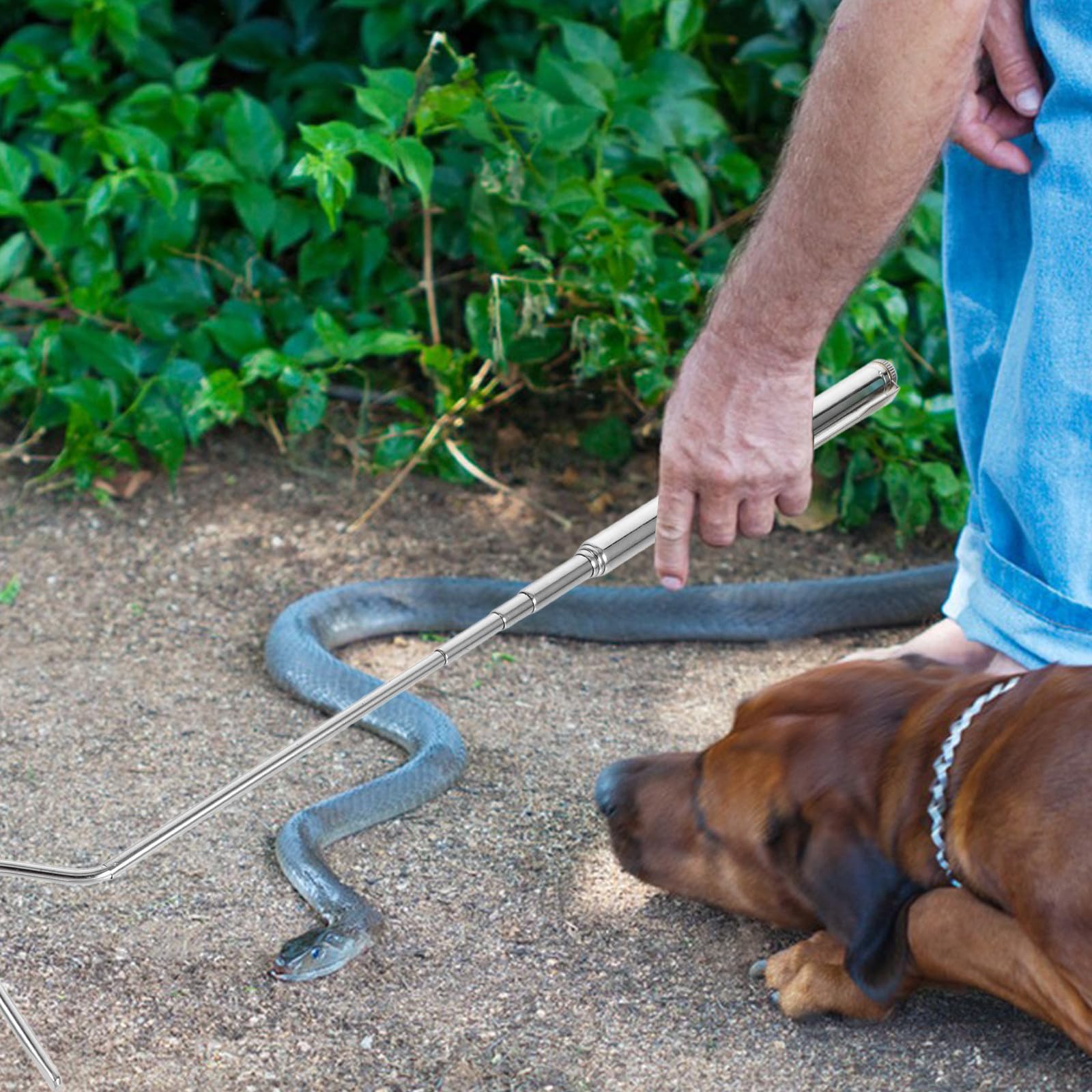 Tragbarer Schlangenfänger aus Edelstahl Zusammenklappbares Greifwerkzeug mit Verstellbarem Haken Sicherer und Benutzerfreundlicher Reptilienhalter für Camping und Erkundung