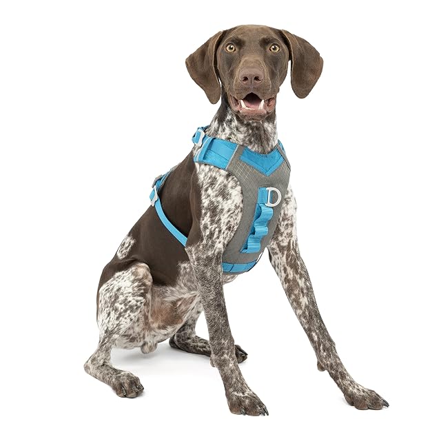 Kurgo Journey Air Arnés para Perros Activos, M, Azul