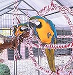 Review Image by hong pope