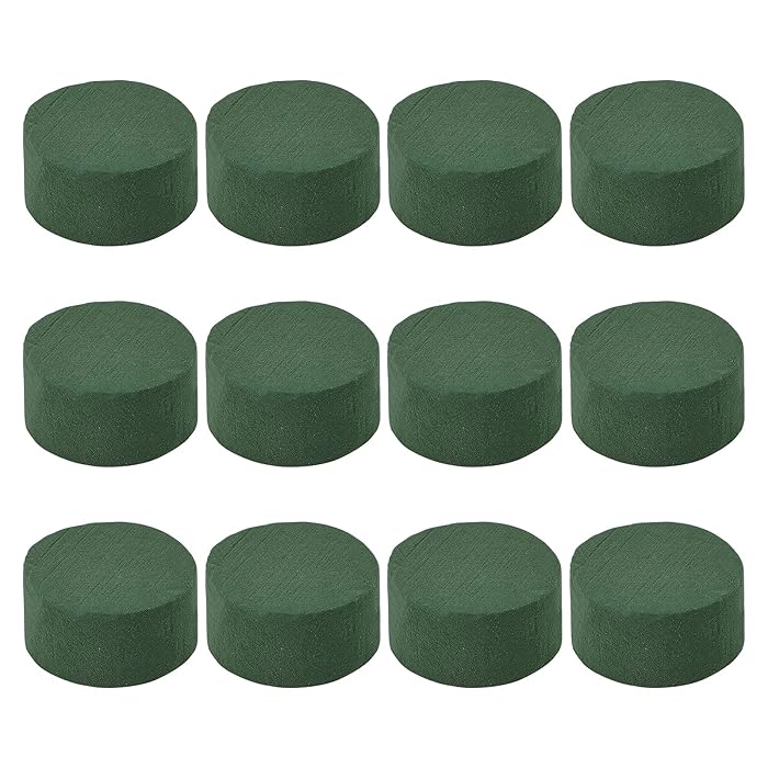 Buy STOYRB 12Pack Round Floral Foam Blocks 2.95In DIY Floral