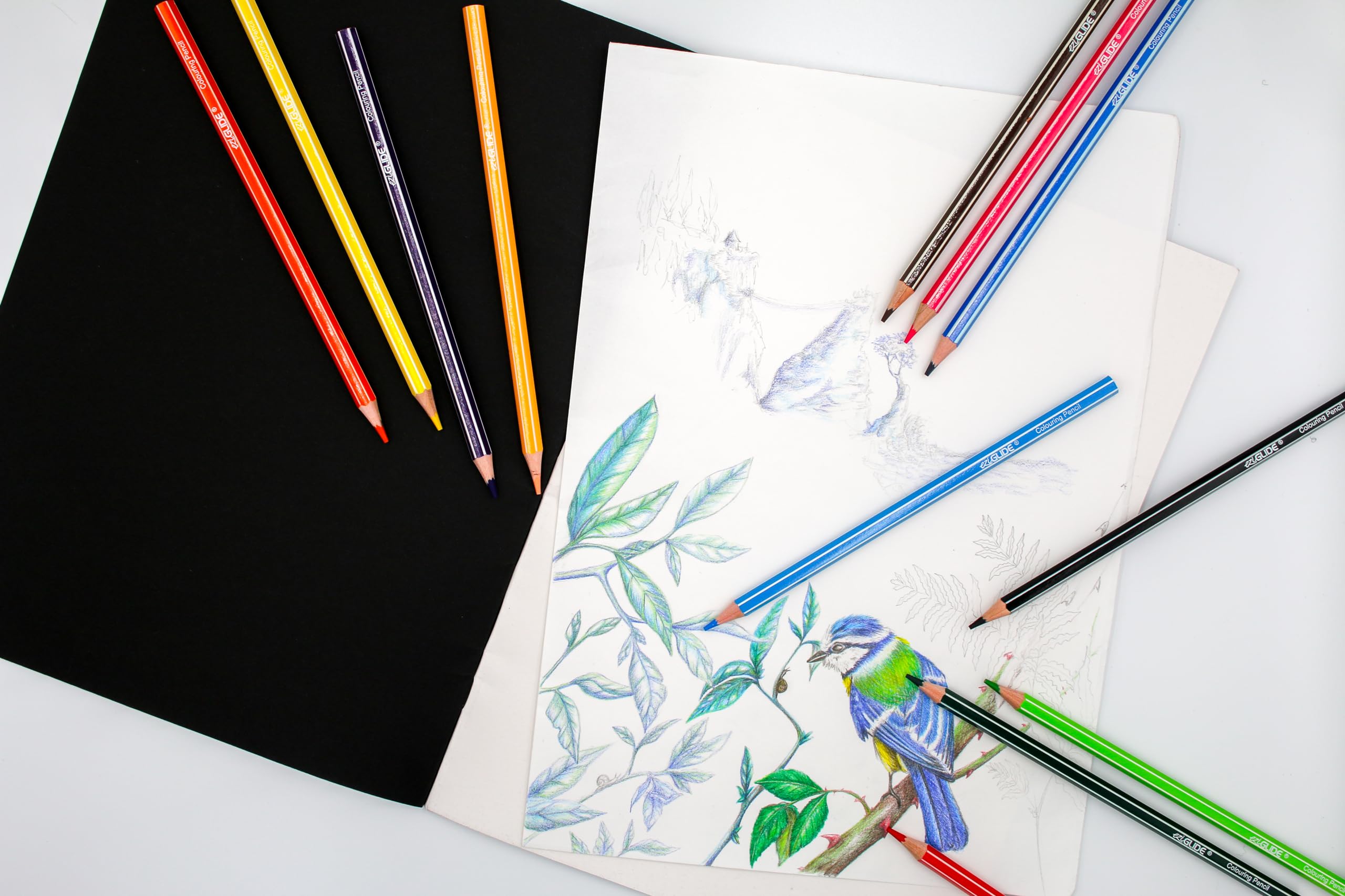 Eziglide Colouring Pencils, Pack of 12 Colouring Pencils, Pencil Set of 12 Assorted high pigment colours - Image 2