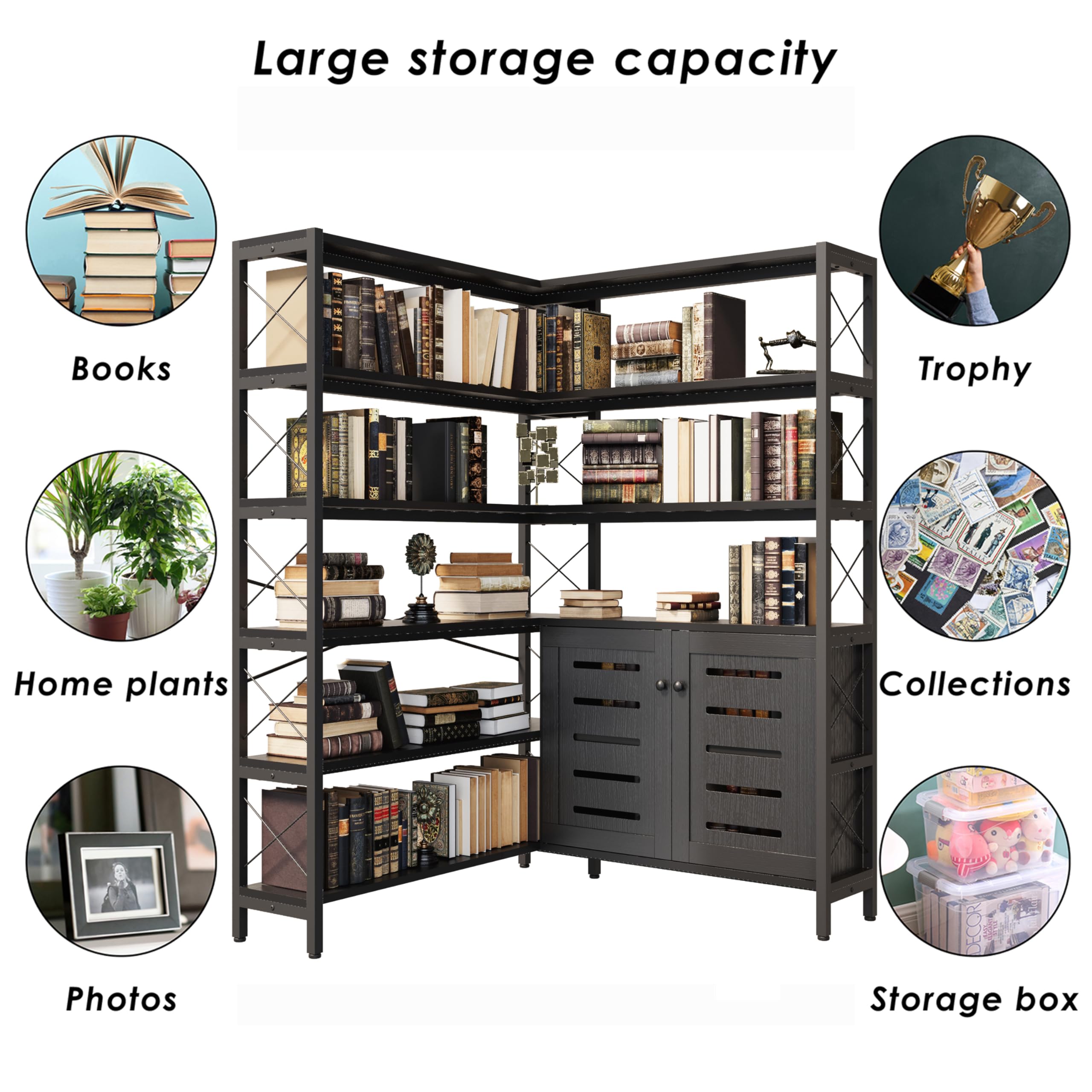 https://m.media-amazon.com/images/I/81qTLUWNCuL.jpg