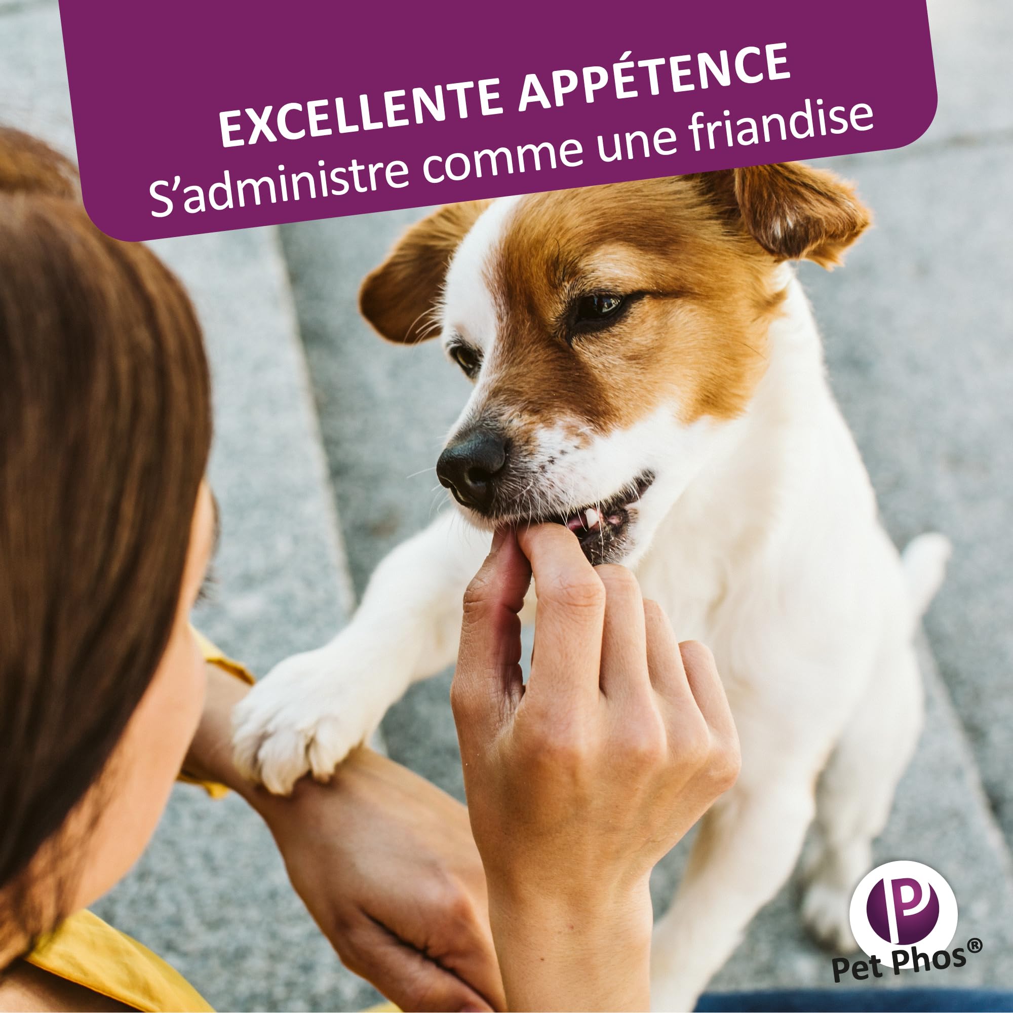 Pet PHOS Pelage Chien - Pelage Sec, terne et abîmé - Chute abondante des Poils - Période de mue - Préparation aux Concours et expositions.
