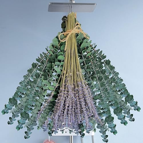 16 unidades de tallos de eucalipto secos preservados con lavanda seca para ducha hojas de eucalipto de ducha naturales de 17 pulgadas plantas de