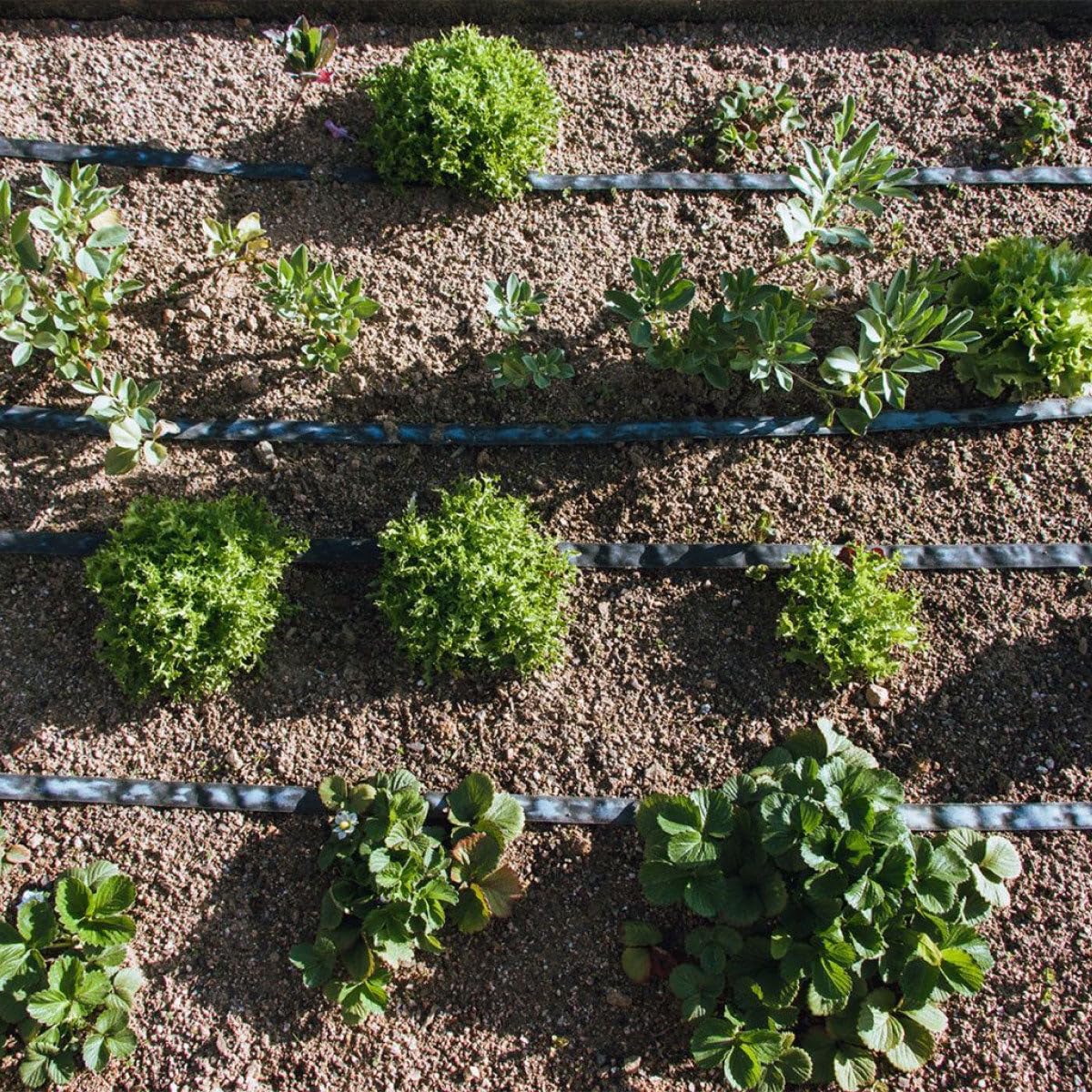 Planeta HUERTO | Rollo Exudación Garden 200 m – Máxima Cobertura y Distribución de Agua para Grandes Áreas