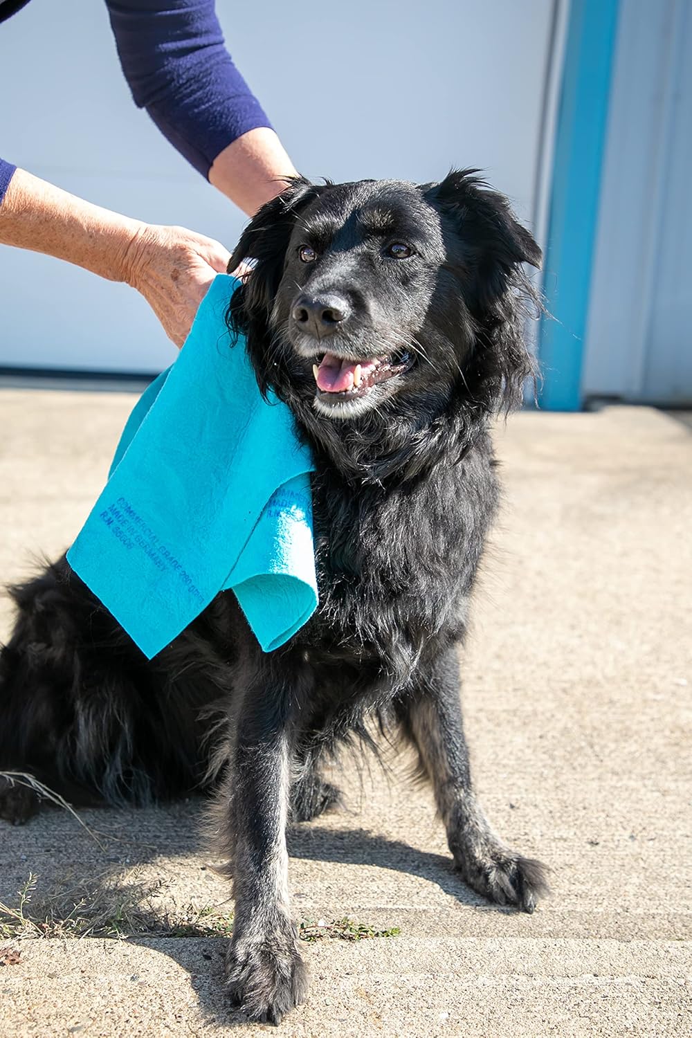 The Original Quality German Shammy Wholesaler Since 1983, 3 PK Royal Blue XL 20x28 inch, Authentic 260 Gram Chamois Cloths, Super Absorbent Chamois Towels for car, pet, Kitchen, Bonus Kitchen Shammy!