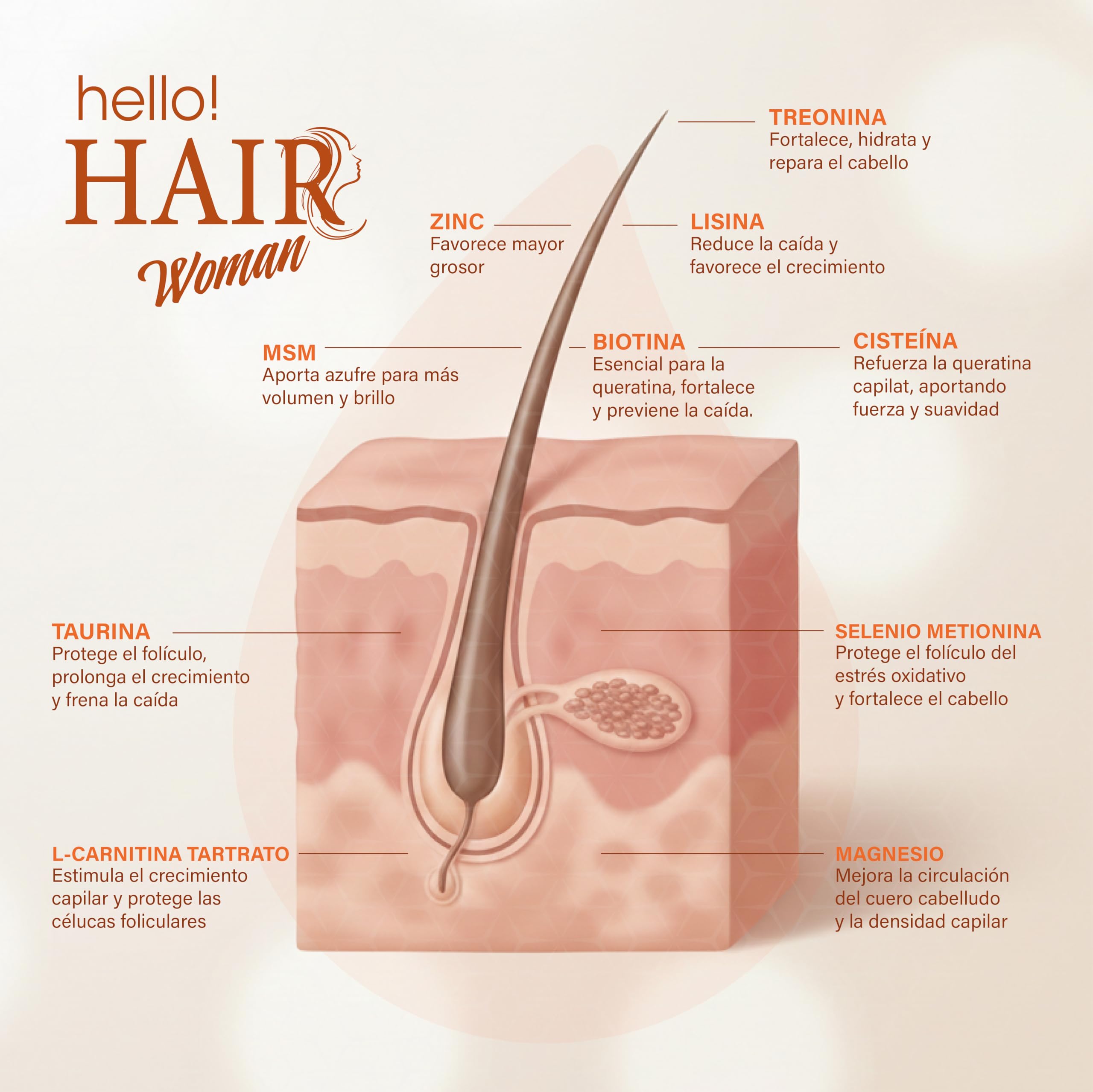 Hello Hair Woman Vitaminas para el Cabello,Uñas y Piel con Biotina, Zinc y Selenio Anticaída Mujer en Cápsulas con MSM y Aminoácidos – 180 Cápsulas (2 Meses) DOD Essentials
