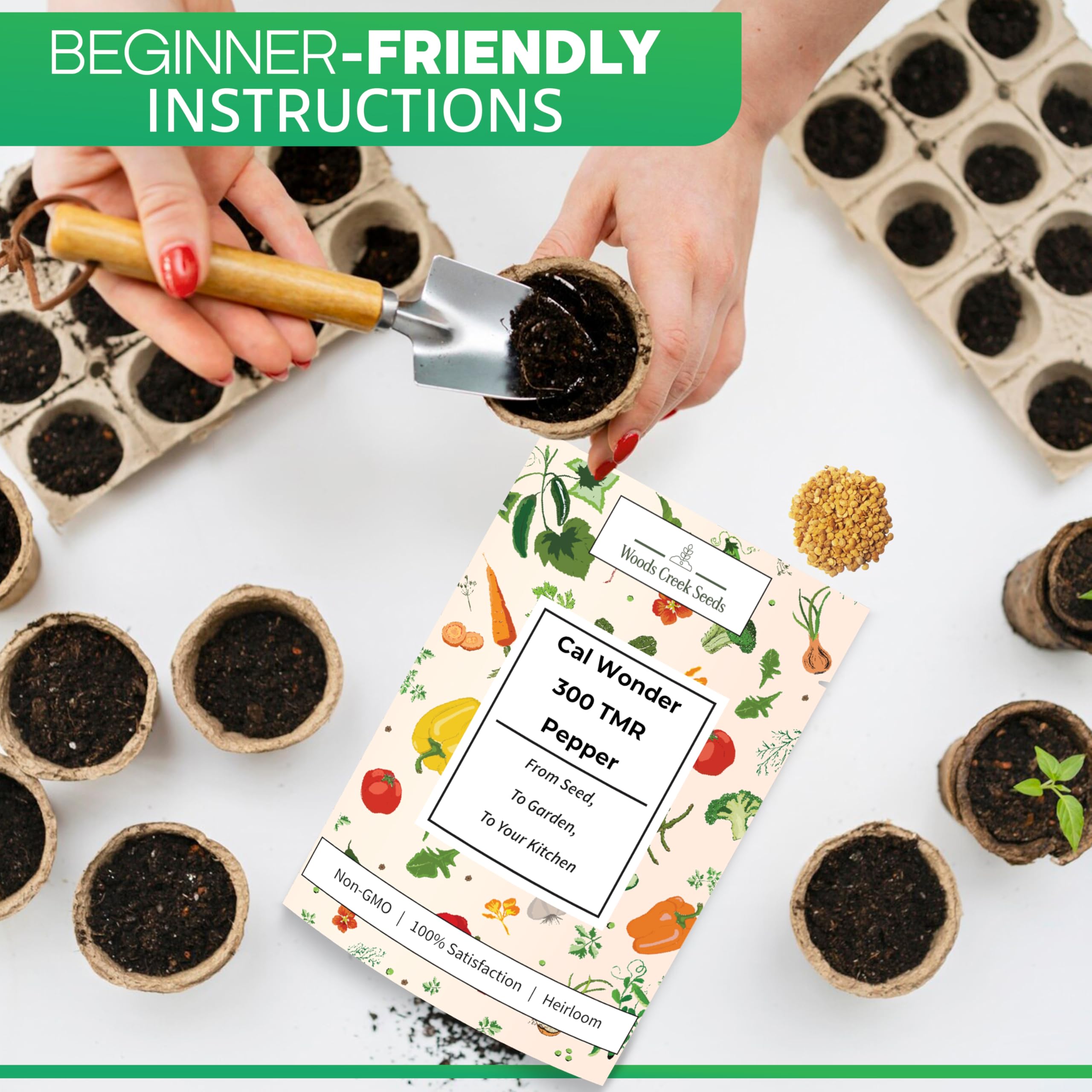 Cal Wonder 300 TMR - Semillas de pimiento dulce para plantar, más de 250 semillas de pimiento tradicional sin OMG California Wonder para plantar al aire libre o en interiores para 3