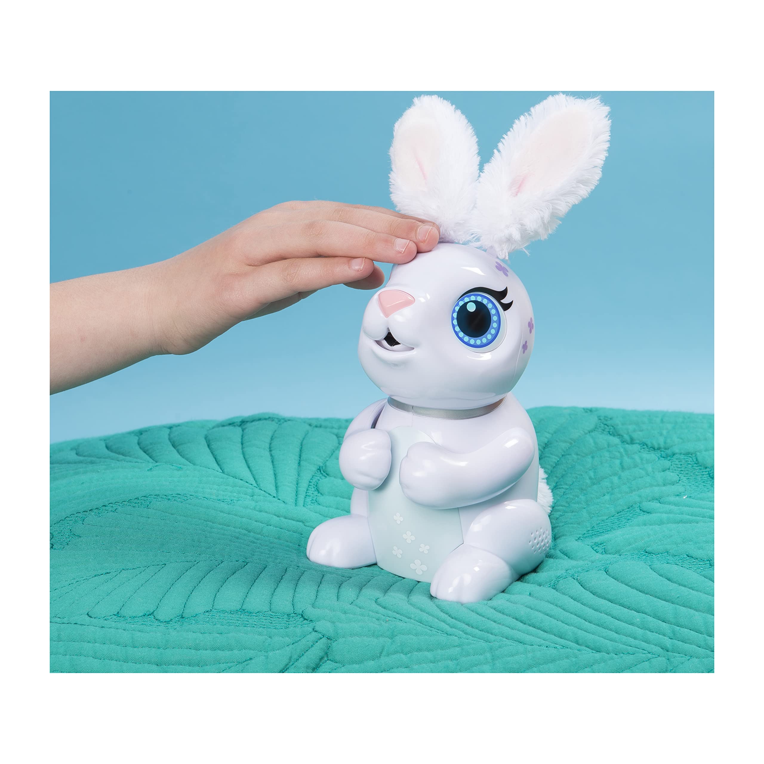 rabbit toy that eats