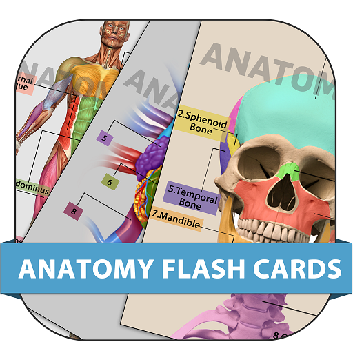 ANATOMY FLASHCARDSAmazon.deAppstore for Android