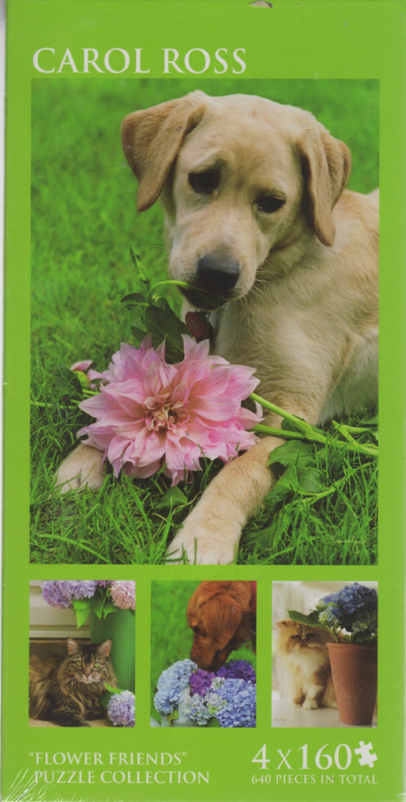 4 Pk 160 Pc Puzzle Asst - Flower Friends - Carol Ross