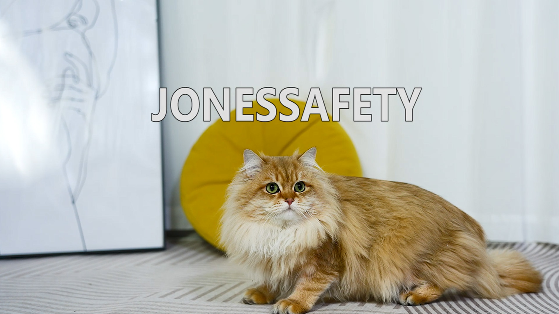 Amazon | 猫じゃらし 猫 おもちゃ ねこじゃらし｜シリコン製 超軽量