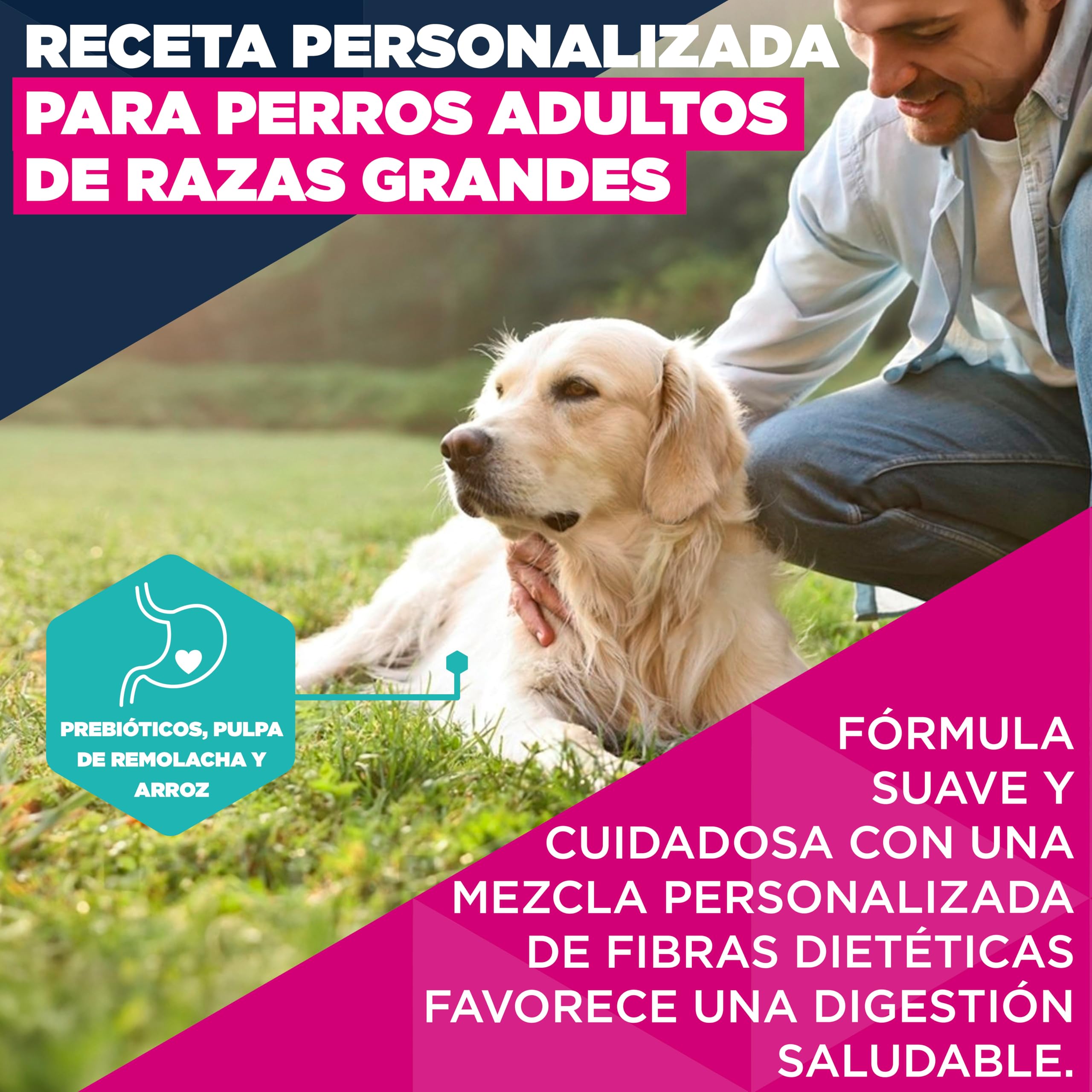 Eukanuba, alimento seco para Perros con Cordero y arroz para Razas Grandes - Alimento seco Premium para Perros Adultos, 12 kg