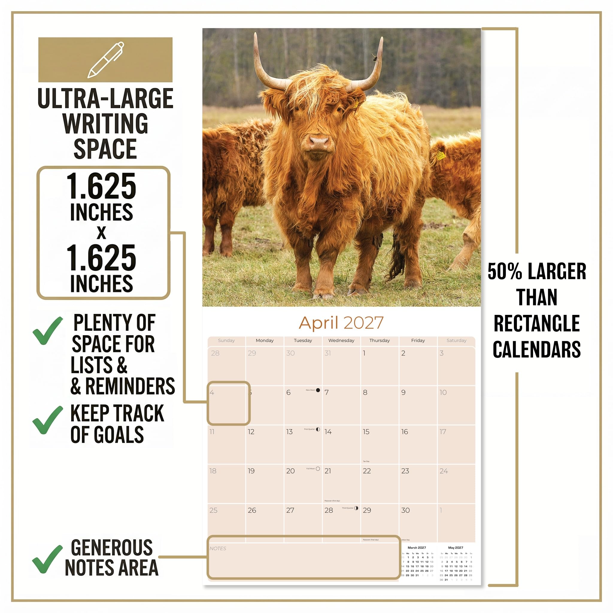 Monats-Wandkalender 2024 2025 Hochlandkühe – Wildtierkalender – 30,5 x 61 cm offen – dickes Papier ohne Blutung – Geschenk – akademischer Lehrerplaner Kalender Organisations- und Planungskalender