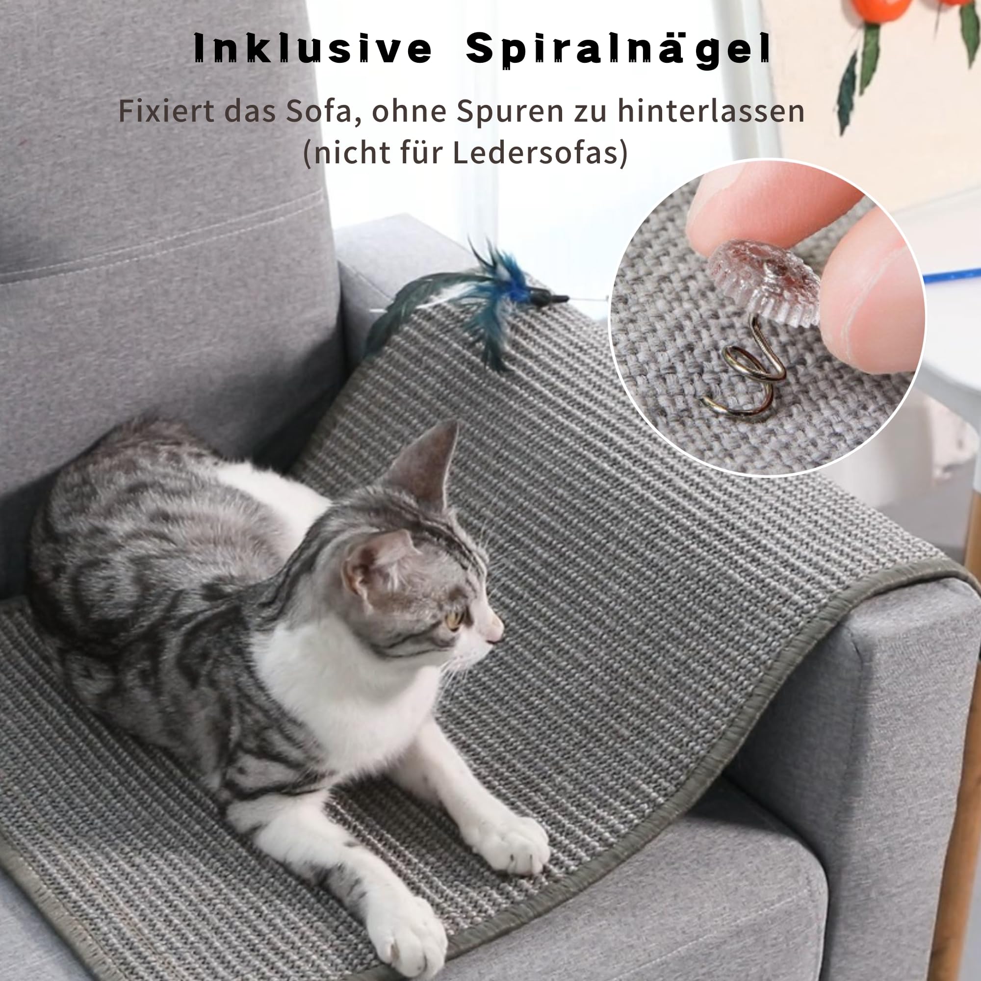 Tappetino Graffiatoio Per Gatti - Lettino Divanetto In Sisal Con Protettore Mobili - Ideale Per Gattini E Cani Piccola Taglia - Riposo E Gioco, Misura 50x27 Cm
