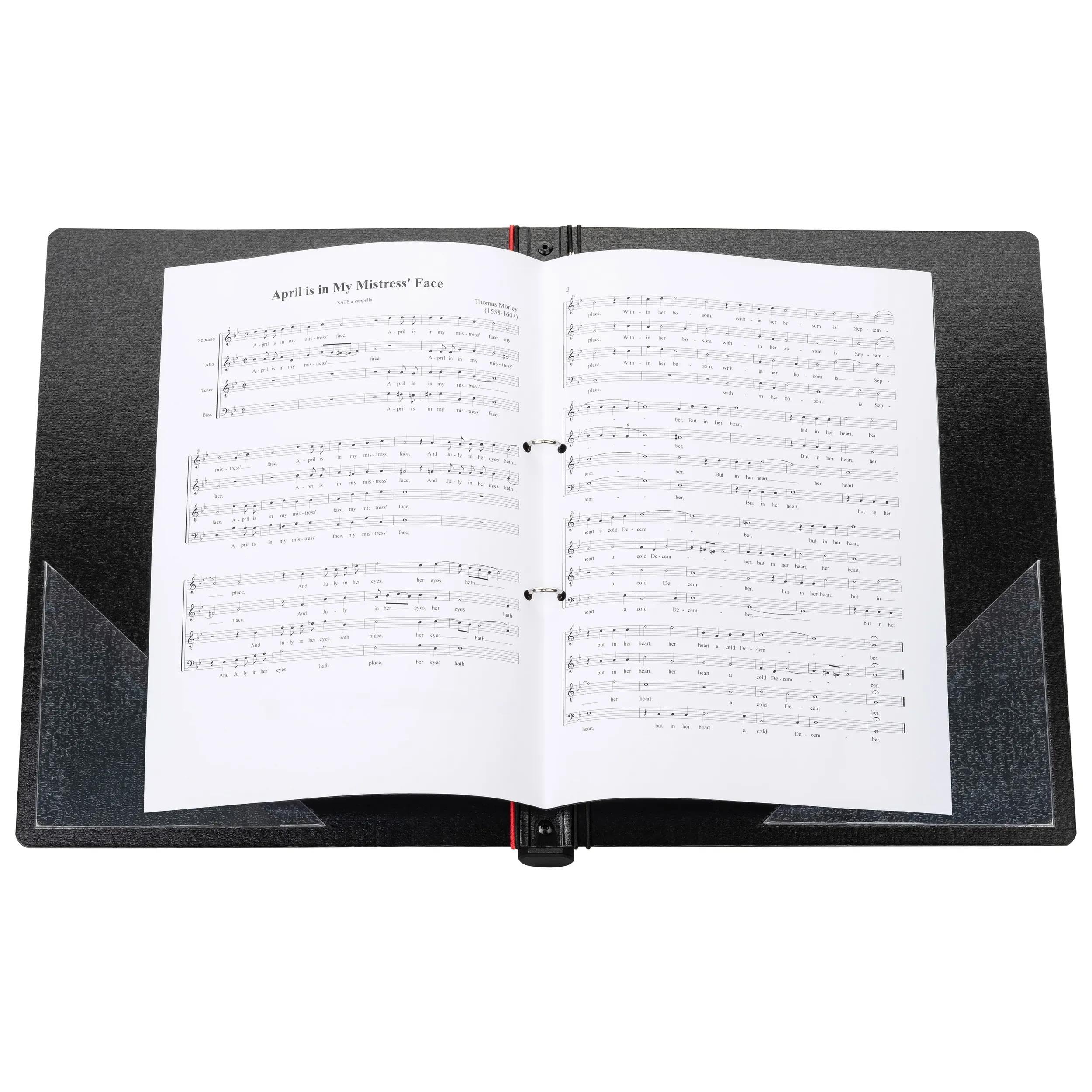 FALKEN Chormappe Gloria DIN A4 ergonomischer Griff extrem leicht | Made in Germany Ringmechanik 4 Haltegummis 2 Sichttaschen innen Notenmappe aus hochwertiger Pappe mit eleganter Prägung