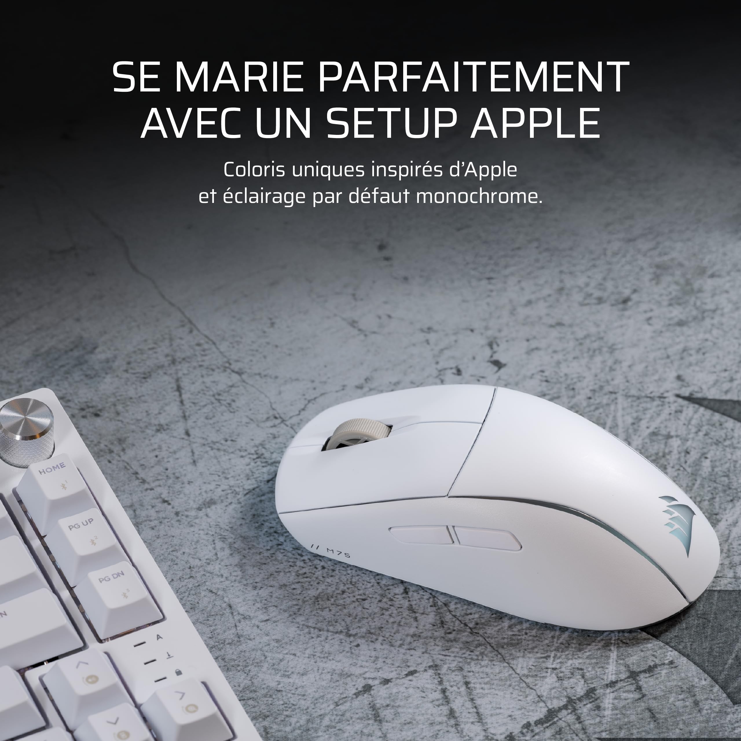 Corsair M75 Wireless RGB Poids Léger FPS Souris Gaming – Blanc Givré