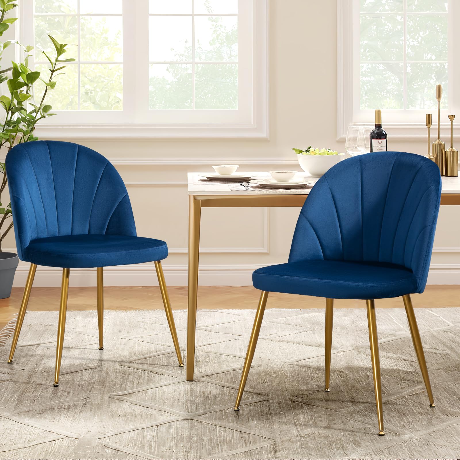 Newnno Blue Velvet Dining Chairs