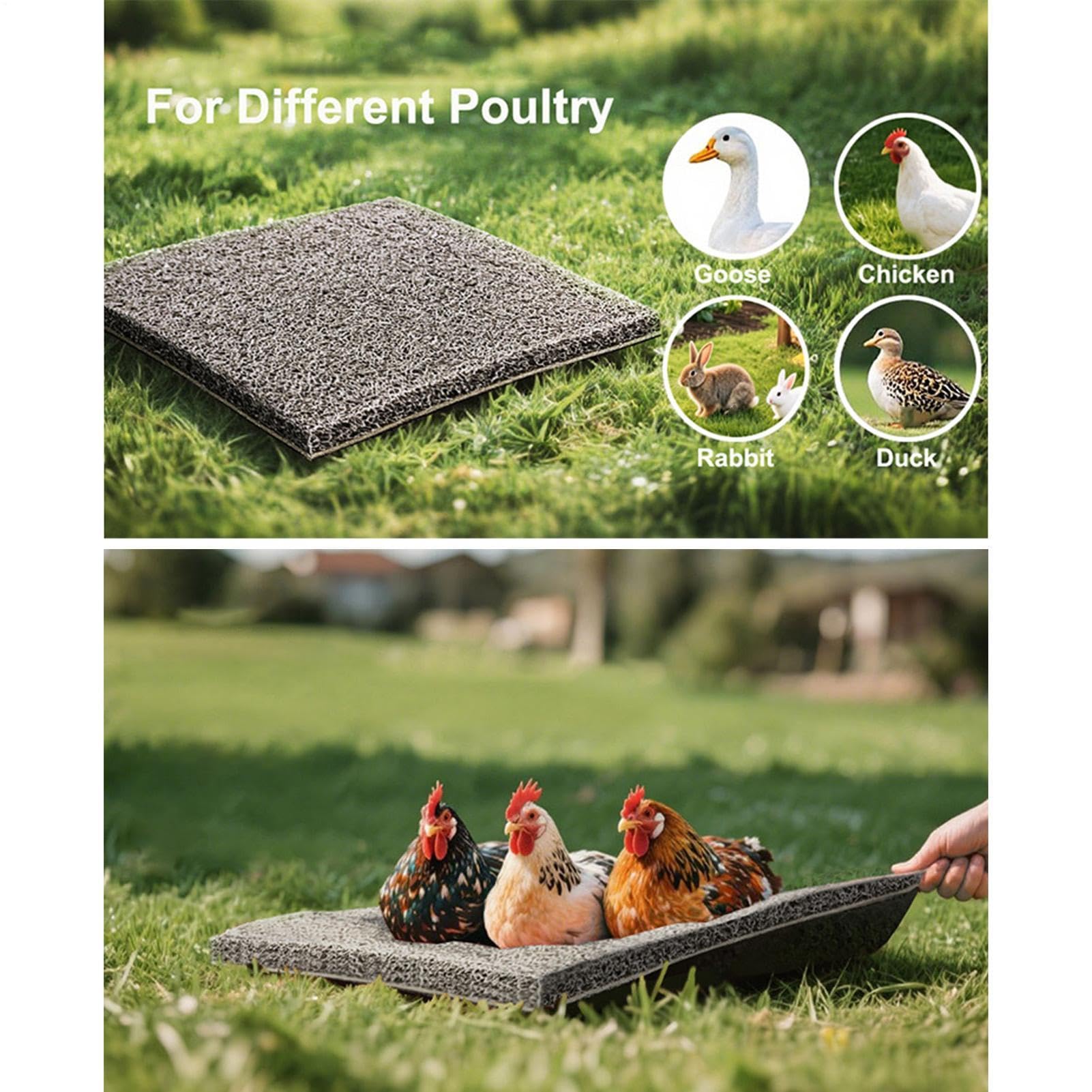 Hühnernest-Unterlage 4er Set – Waschbare & Wiederverwendbare Nistkasten-Einlagen (30x30 cm) – Weiche PVC-Matten für Legehennen, Enten & Wachteln – Komfortables Nestzubehör für Hühnerstall & Garten