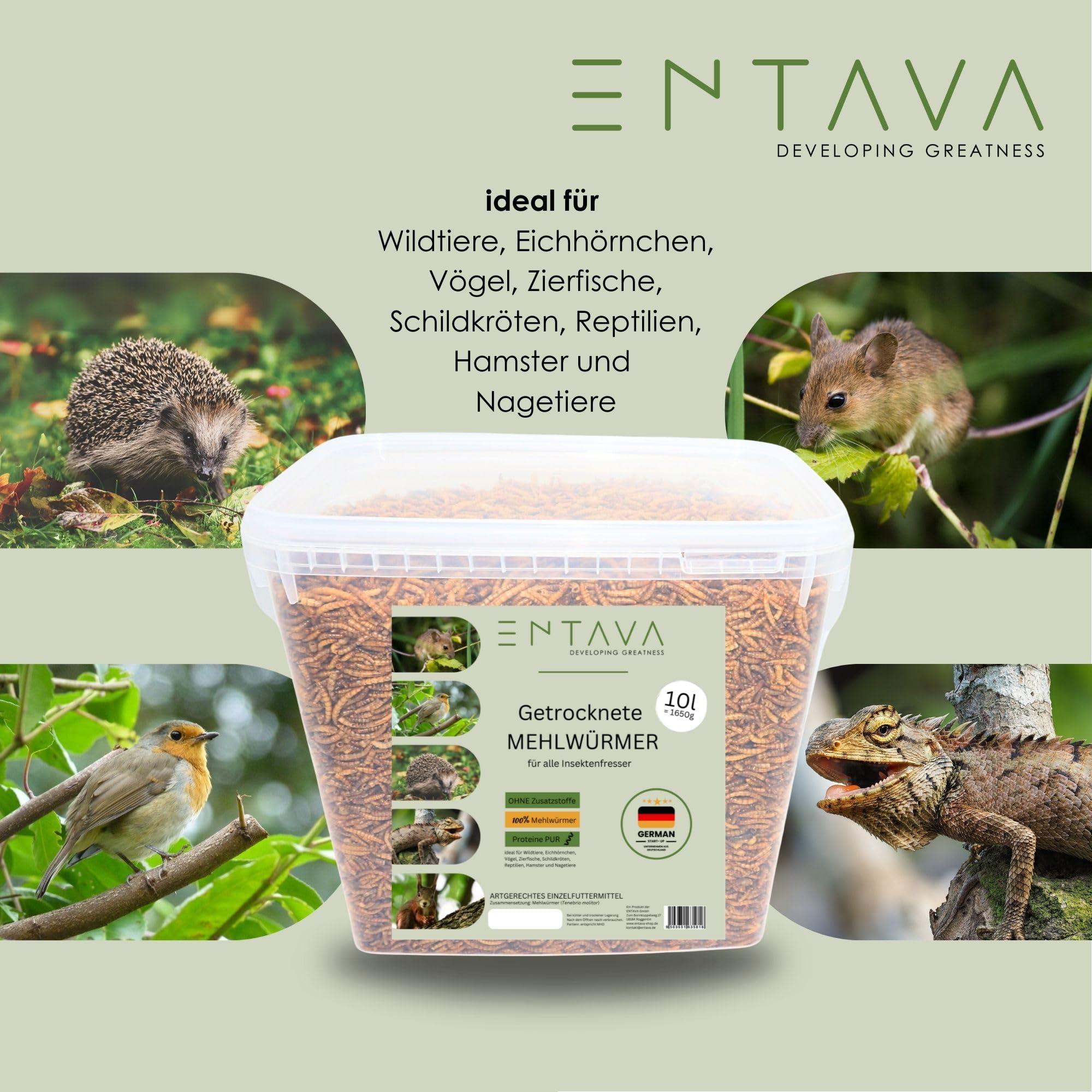 Mehlwürmer getrocknet 10L - Insekten Snack in Premium Qualität, getrocknete Mehlwürmer für Vögel, Fische, Koi, Schildkröten, Nager, Reptilien, Wildvögel, Vogelfutter, Igelfutter
