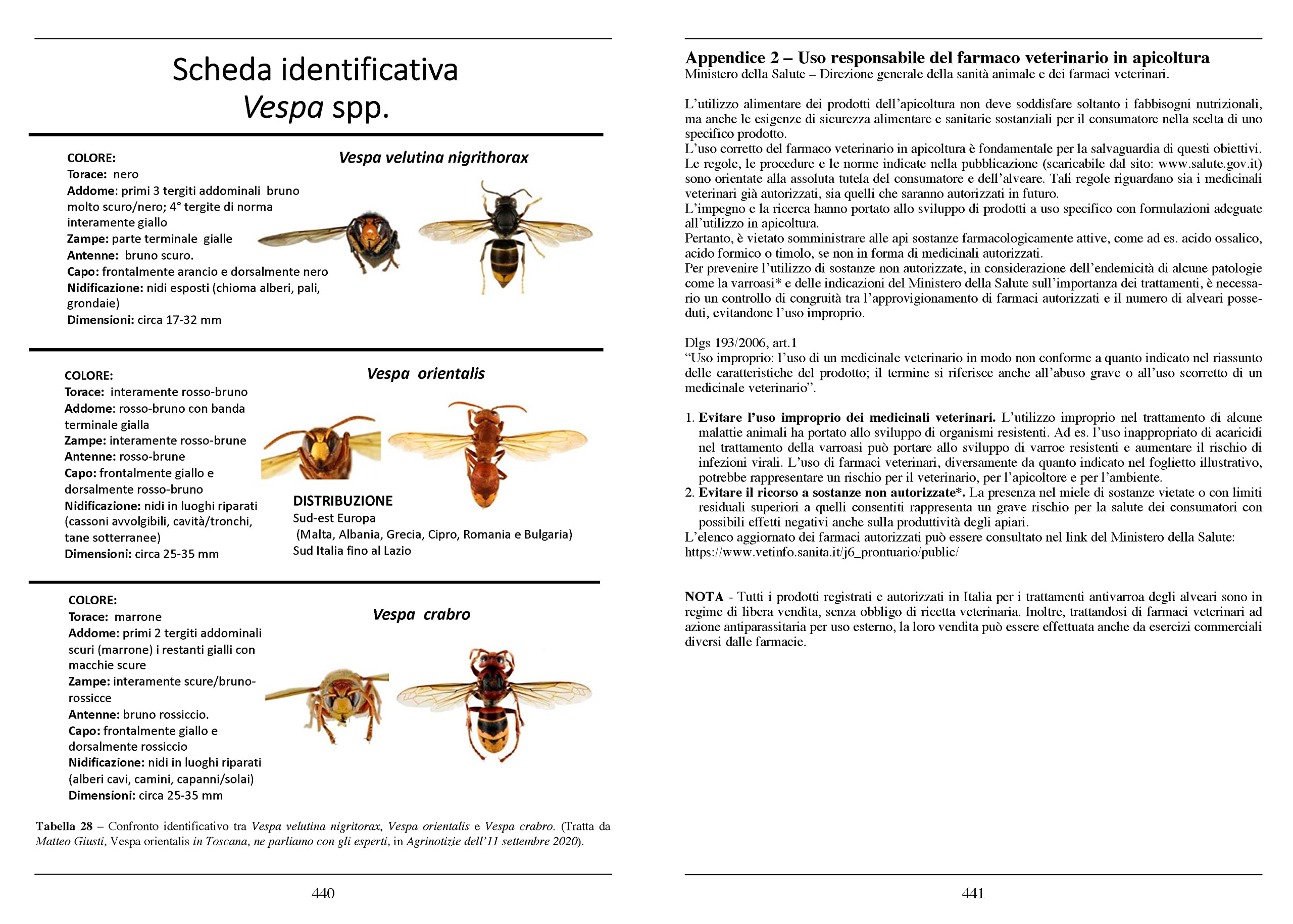 Guida pratica di apicoltura. Con agenda dei lavori. Nuova ediz.
