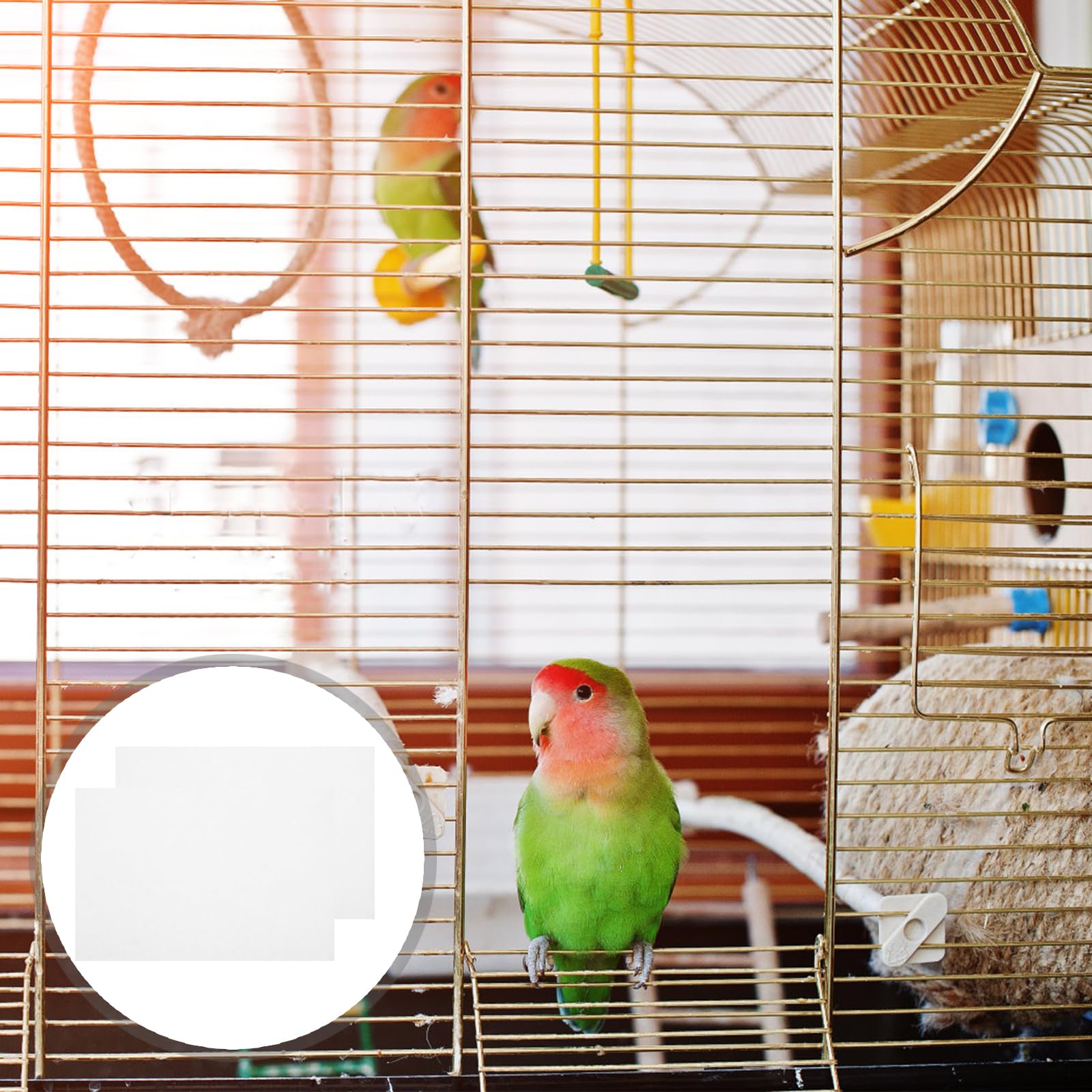 Housoutil Revêtements pour Cage à Oiseaux, 100 Pièces Cages à Perroquets Coussin, 22 * 15cm Fond De Cage Oiseaux, Coussin Doublures De Cage à Perroquet Für Den Kanarienkäfig