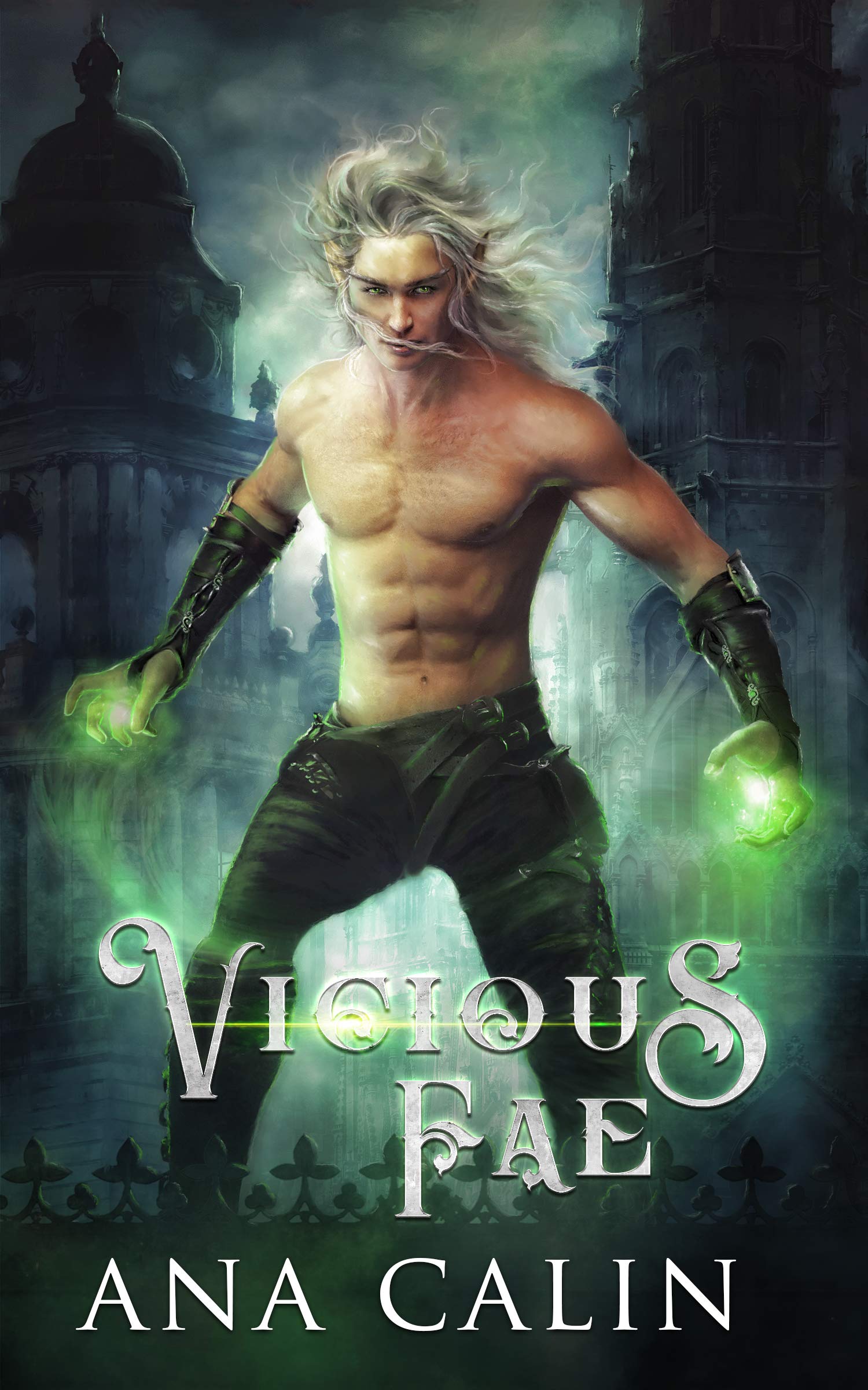 Vicious Fae (Hidden World)