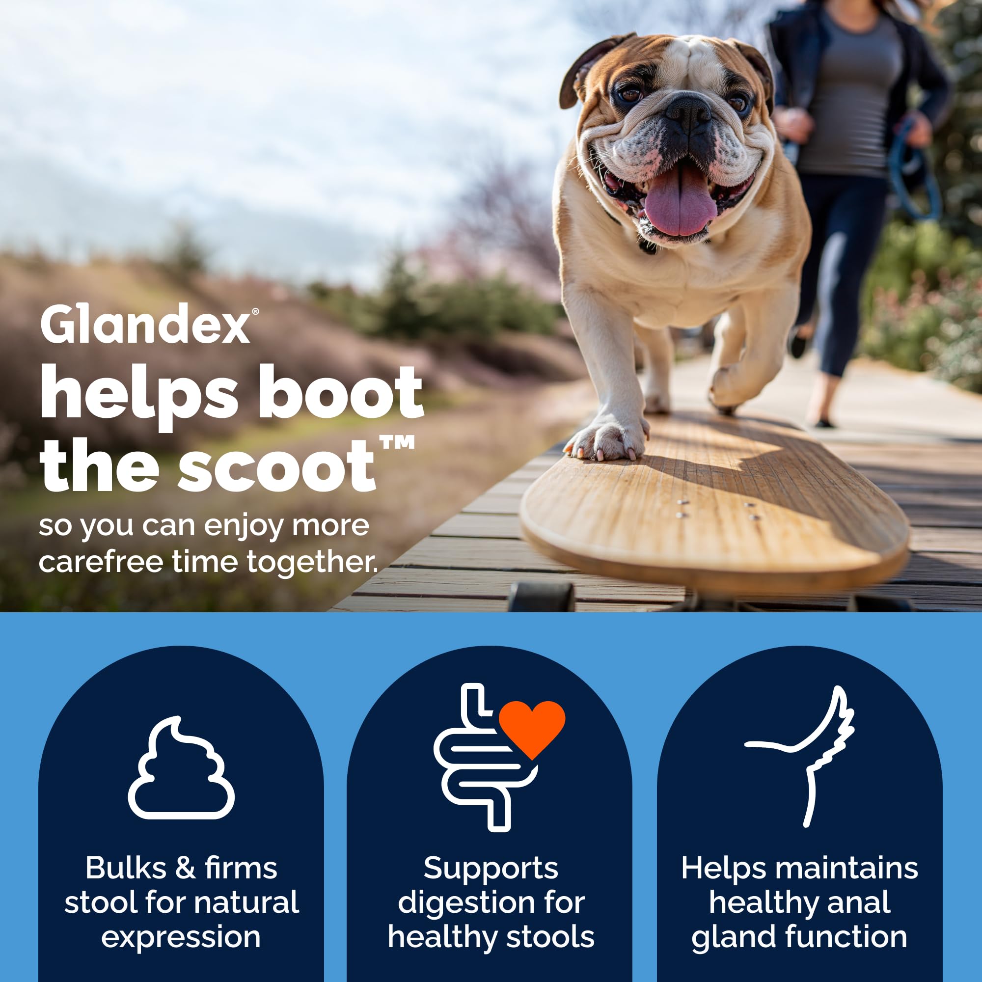 Glandex pour Chien - 30 bouchées à mâcher Santé des Glandes anales - Produit formulé par des vét pour favoriser la vidange des Glandes anales - Riche en oméga-3, graines de Citrouille et Fibres