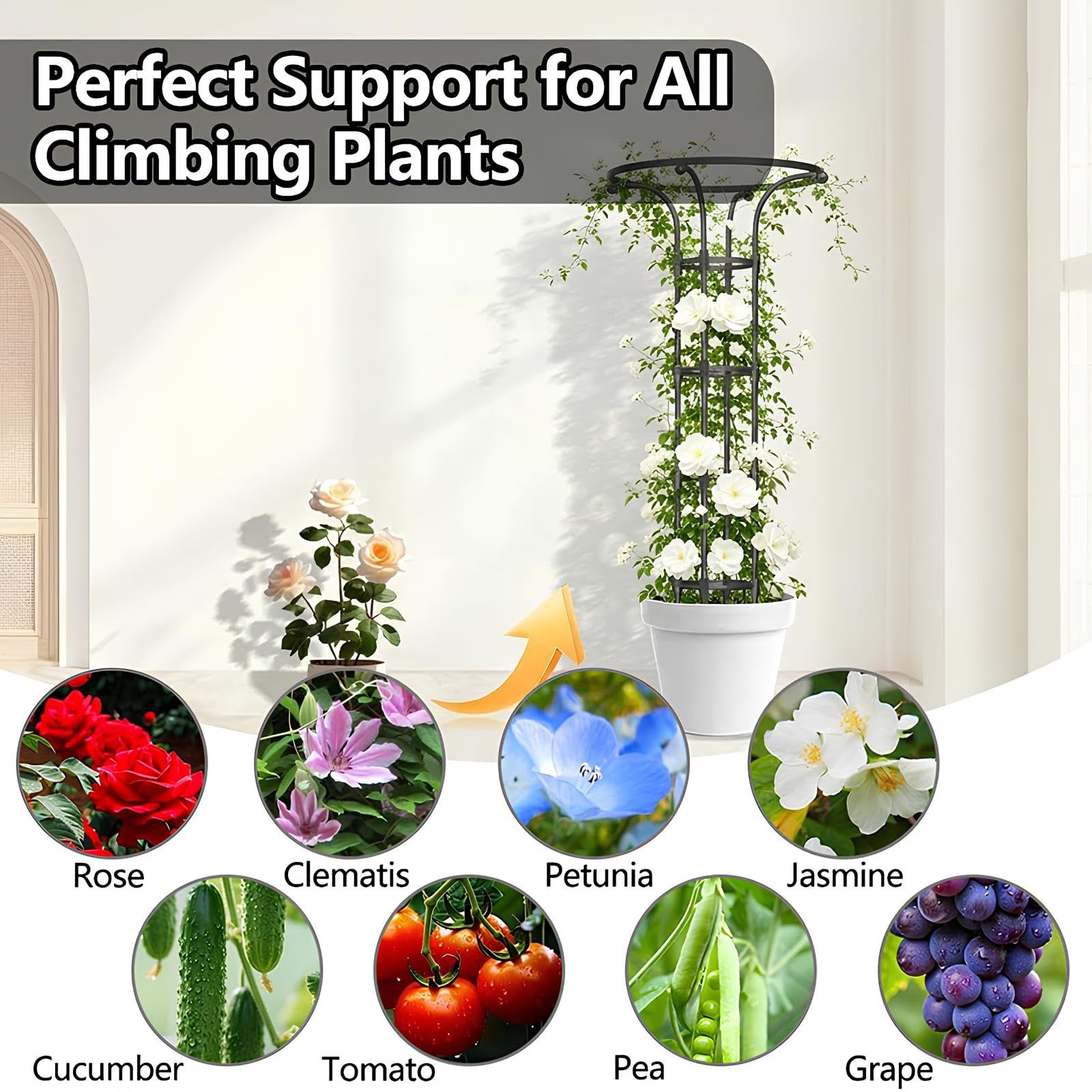 185cm Griglia Da Giardino - Supporti Verticali Stabili Per Piante Rampicanti - Traliccio A Ombrello Con Struttura A Gabbia - Per Vite Rosa Clematide Ortensie(Black,D25cmxH125cm)