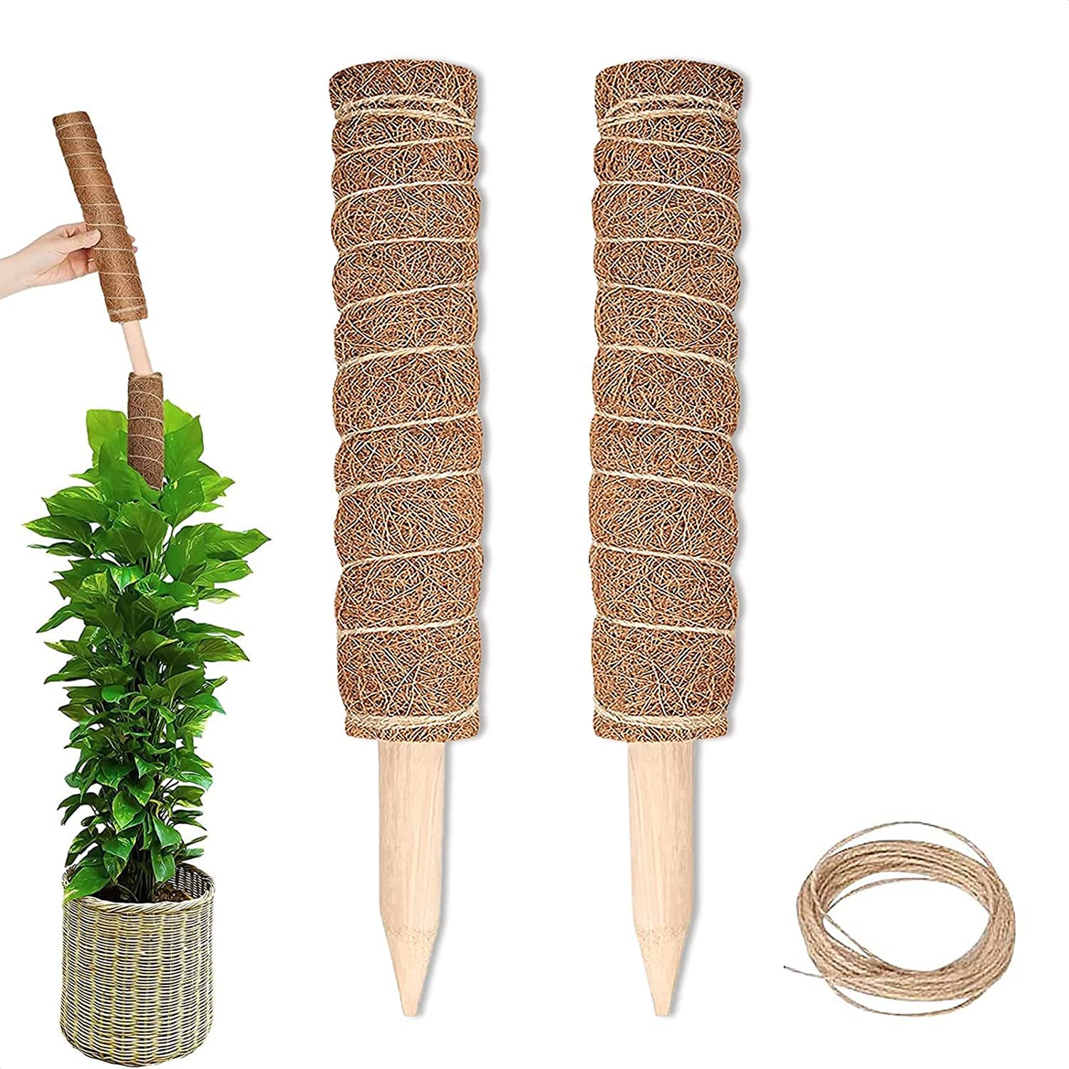 Garden Art Pack of 2 Moss Stick,Coir Pole GACP-45 | 45cm Long for Plants Monstera, Coco Coir Moss Poles for Climbing Plants/Creepers | Plant Support Extension to Grow Upwards