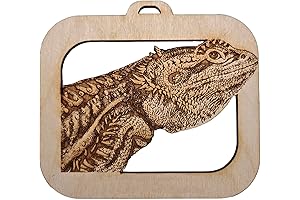 Personalized Bearded Dragon Christmas Ornament