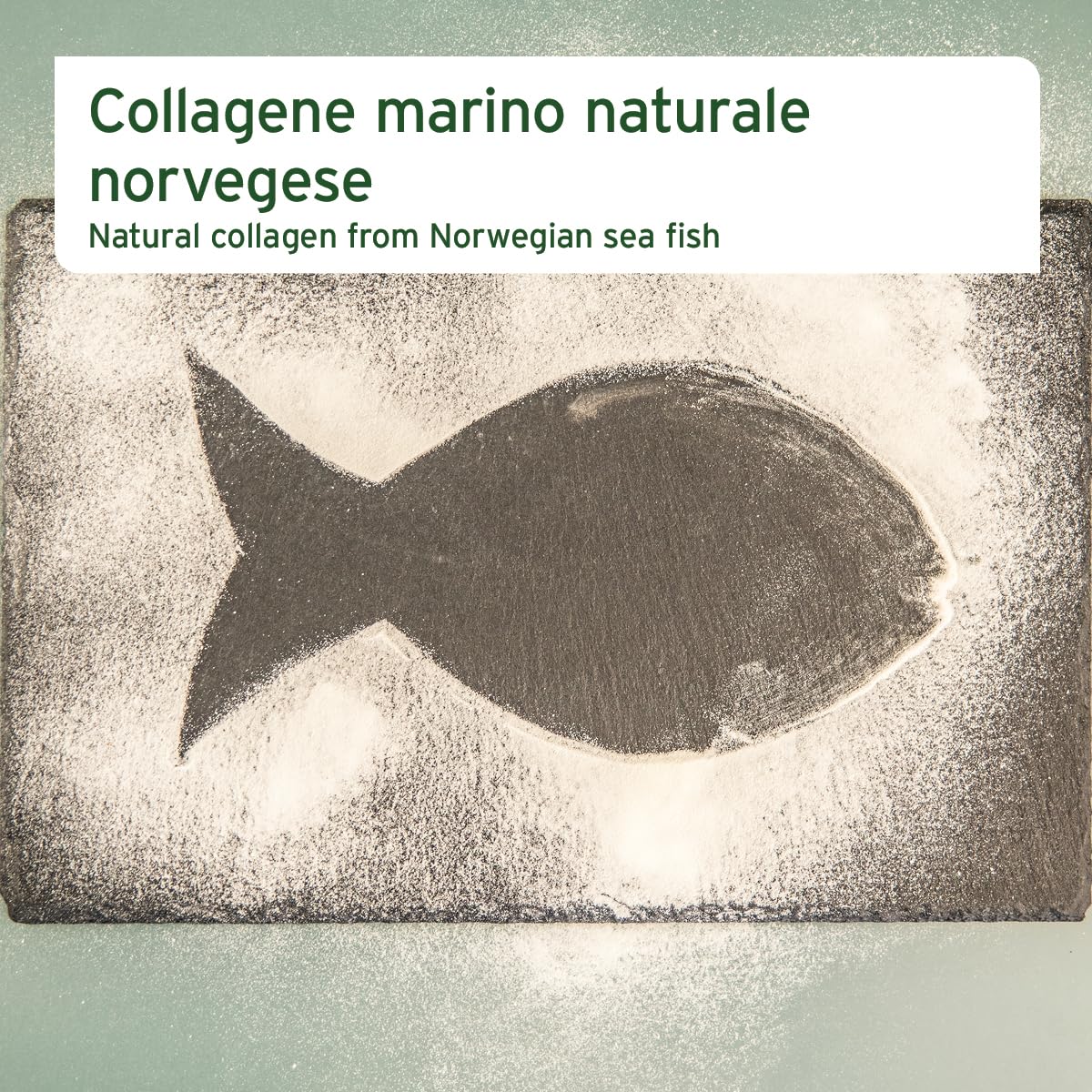 AniForte Marine Collagen Joint Powder for Dogs CollaMove 450g - Il collagene di pesce sostiene articolazioni, tendini e legamenti, Prodotto naturale per la funzionalità e l'agilità delle articolazioni