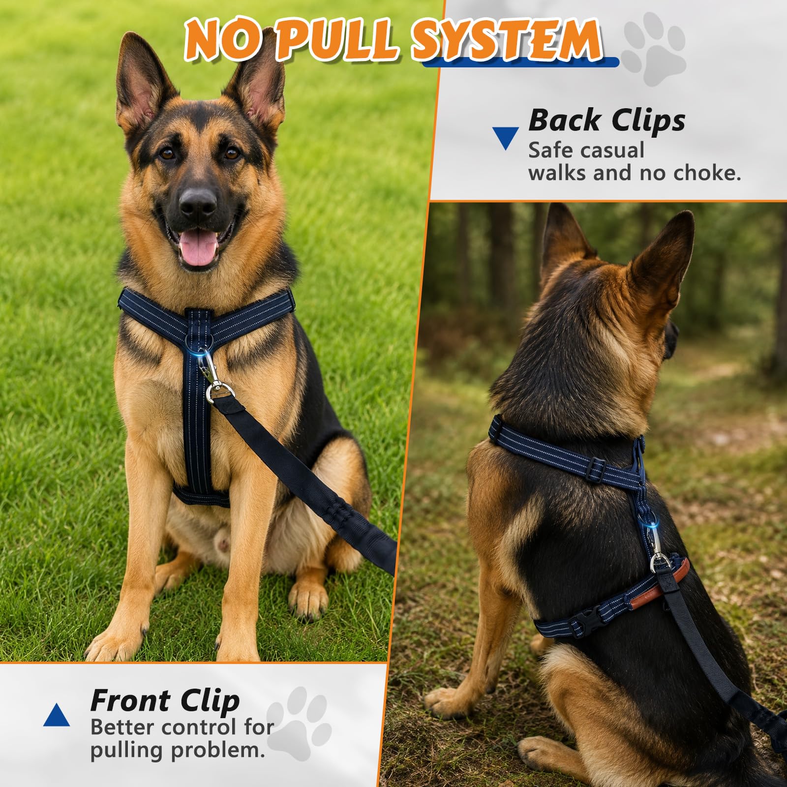 View 4