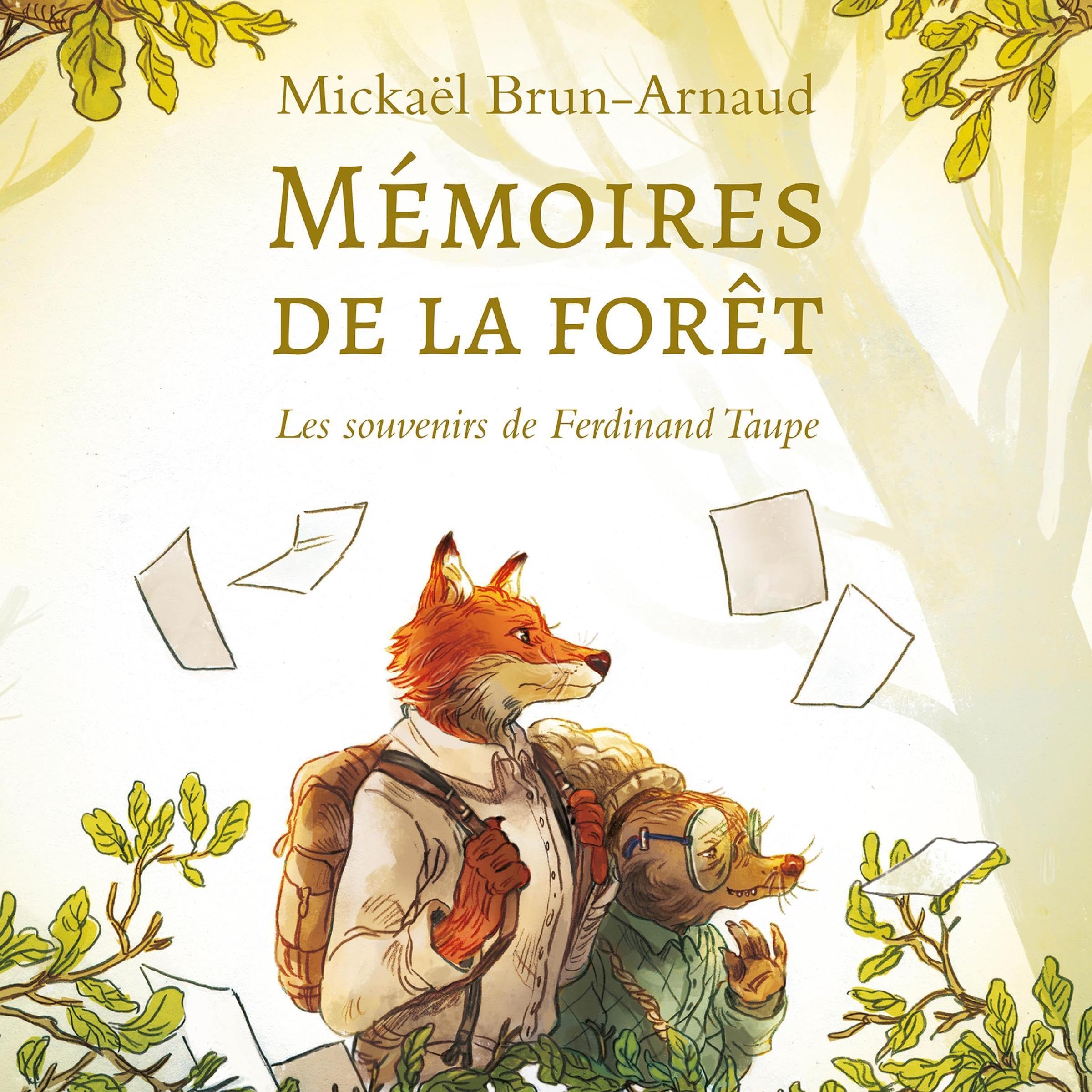Cover art for Les souvenirs de Ferdinand Taupe