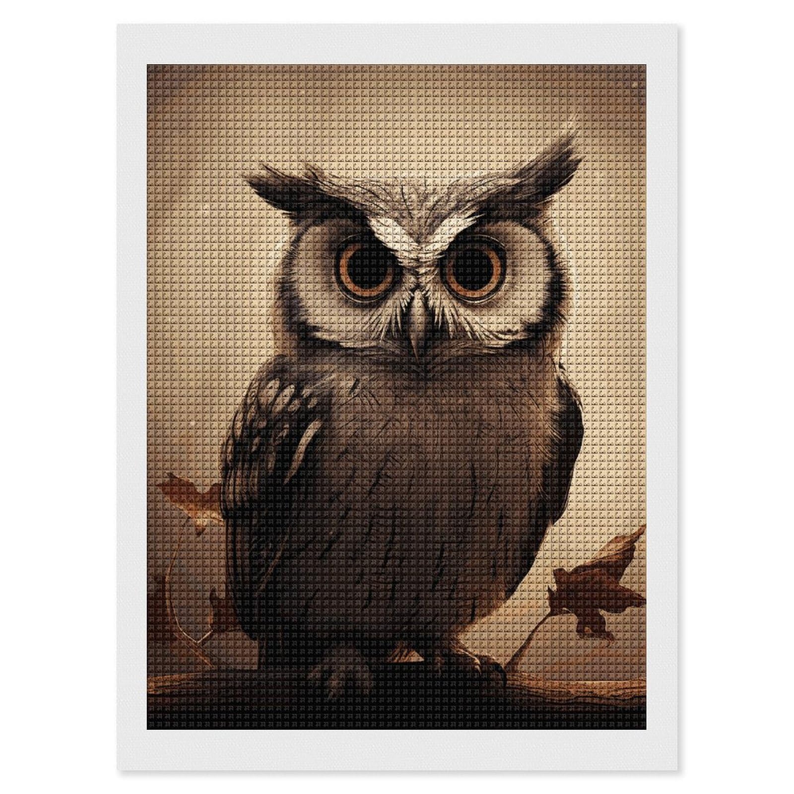 Cute Owl Diamond Art Kits for Adults, DIY 5D Diamonds Painting Kits for Beginner, Round Full Drill Diamond Dots Painting, 12"x16" Diamonds Pictures Gem Art and Crafts Wall Decor