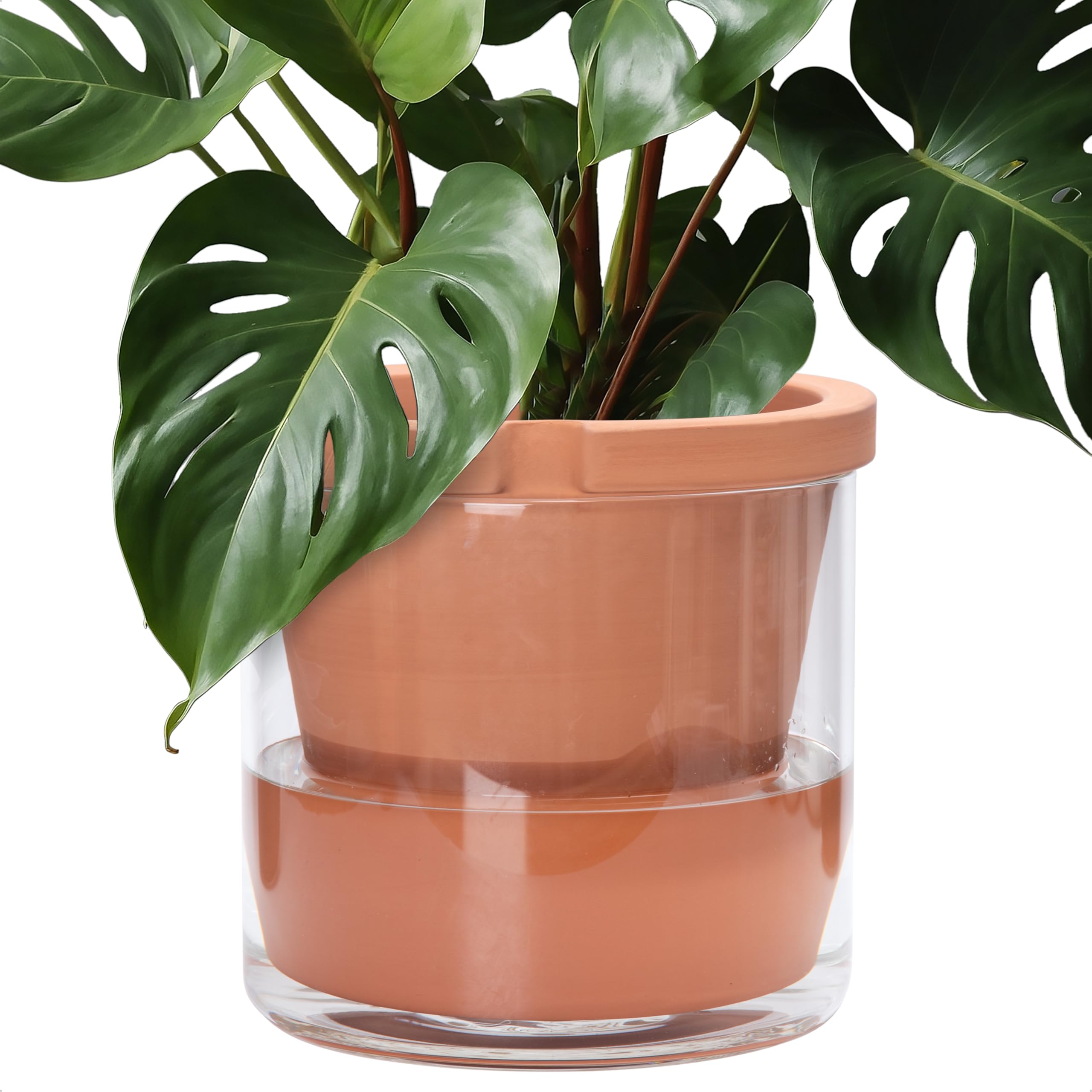 Amazon.com: D'vine Dev 10 Inch Design Self Watering Pot for Indoor Plants,  Terracotta Planter with Cylinder Glass Cup, 37-X-D-1 : Patio, Lawn & Garden