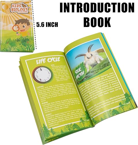 Miniatura 6 de Juego de 6 muestras de insectos de resina, mariposa, escarabajo de rana joya, polilla de seda, chafer, chafer, chinche, avispa, juguete educativo