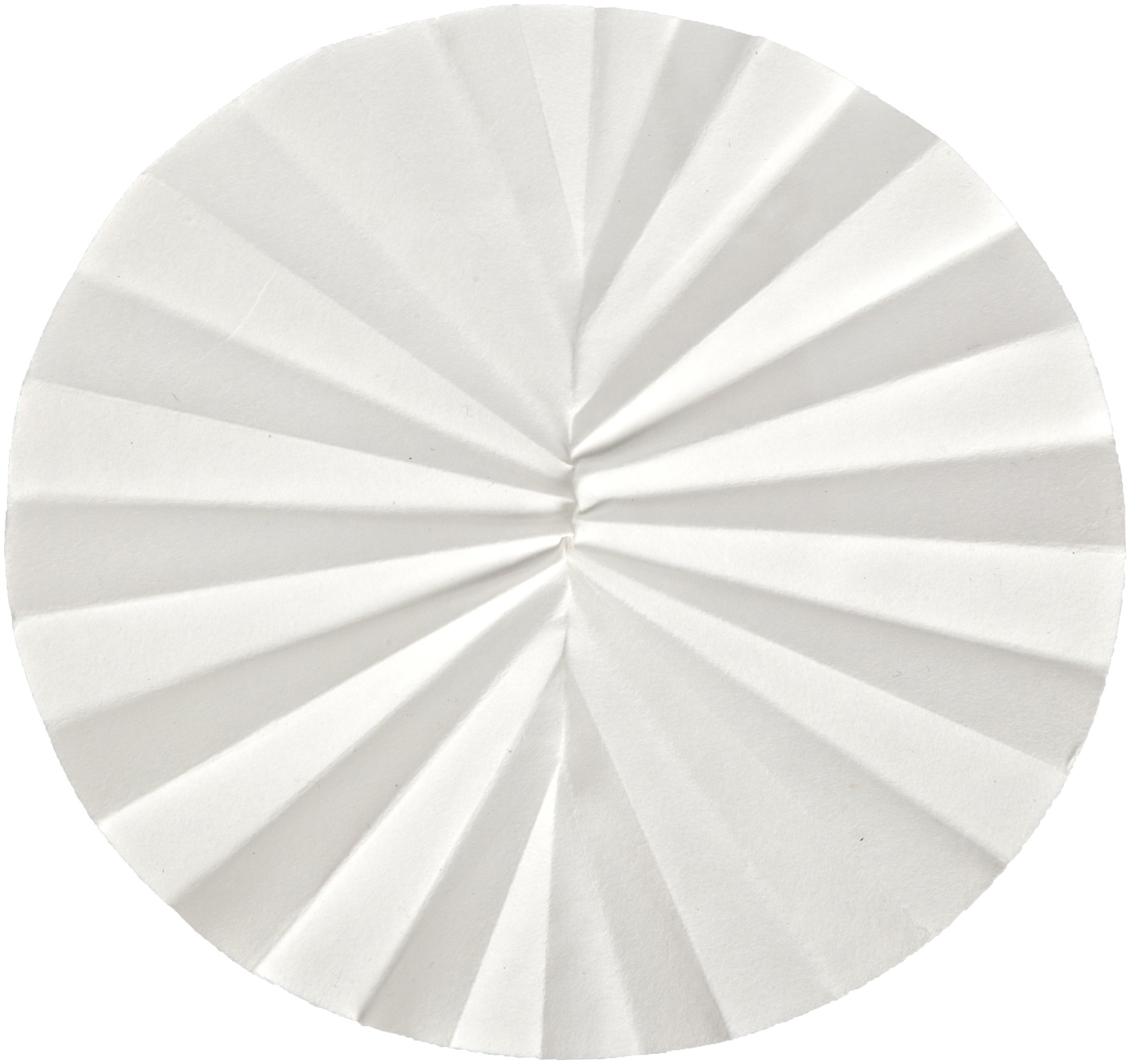 Whatman 10312544 Quantitative Folded Filter Paper, 2 Micron, Grade 602EH-1/2, 125mm Diameter (Pack of 100)