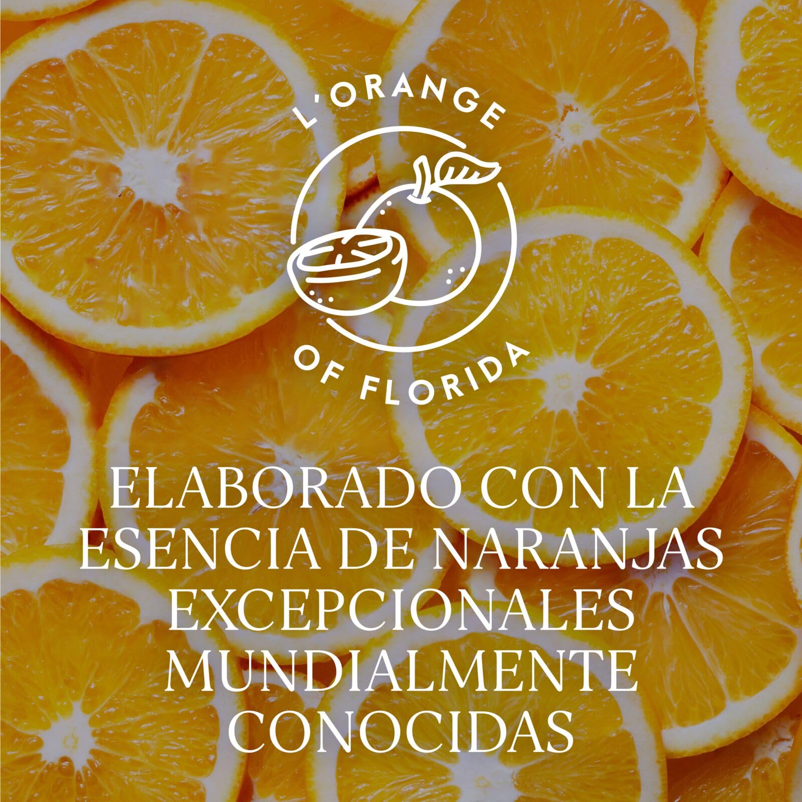 GREY GOOSE L'Orange, ALC. 40%, 100 cl / 1 l, vodka francés de elaborado con vodka GREY GOOSE y esencia de naranjas de Florida
