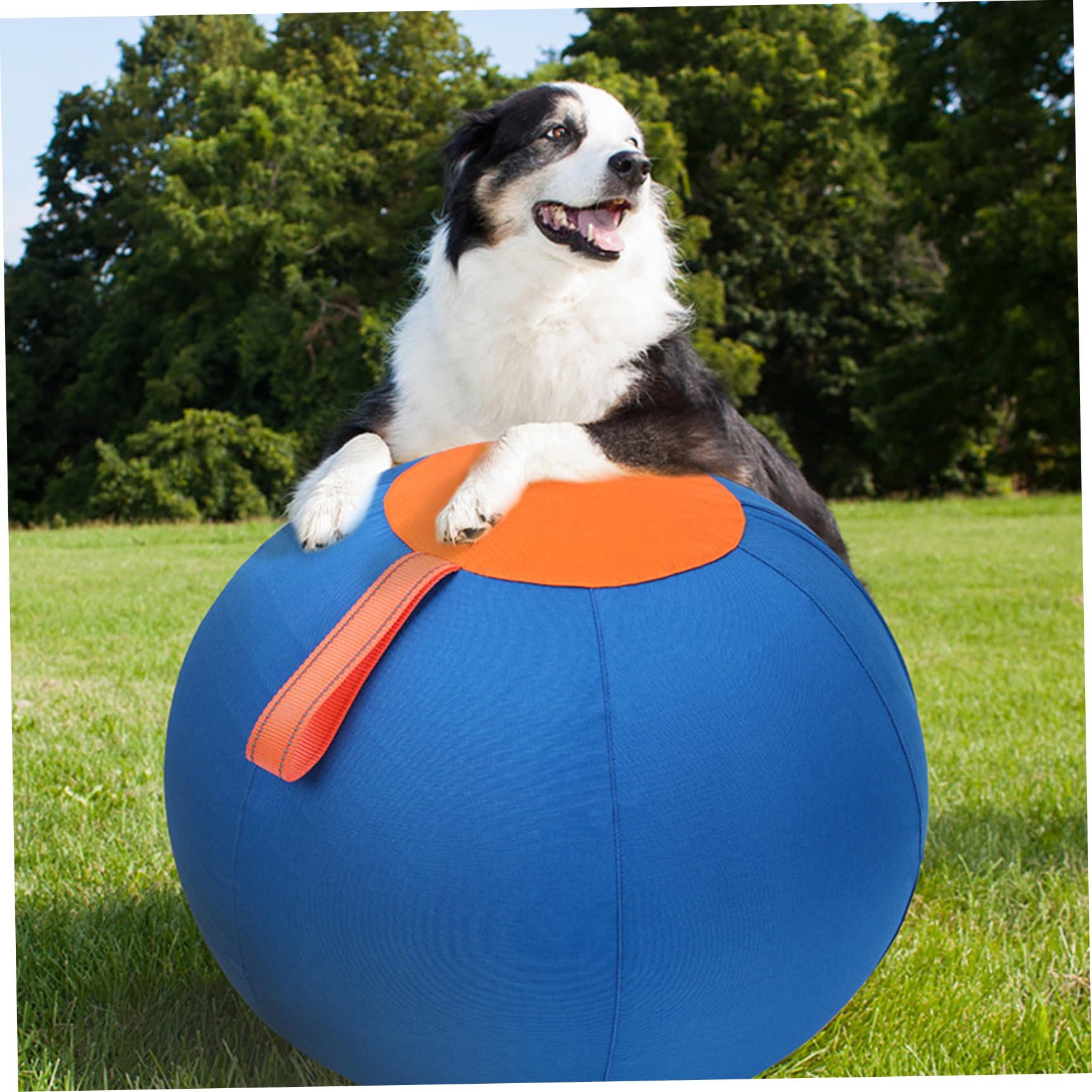 Herding Ball für Hunde, 21,65 Zoll aufblasbarer großer Hischball für mittlere und große Rassen, kompatibel mit Hirten, Viehhunden, Pferdspiel