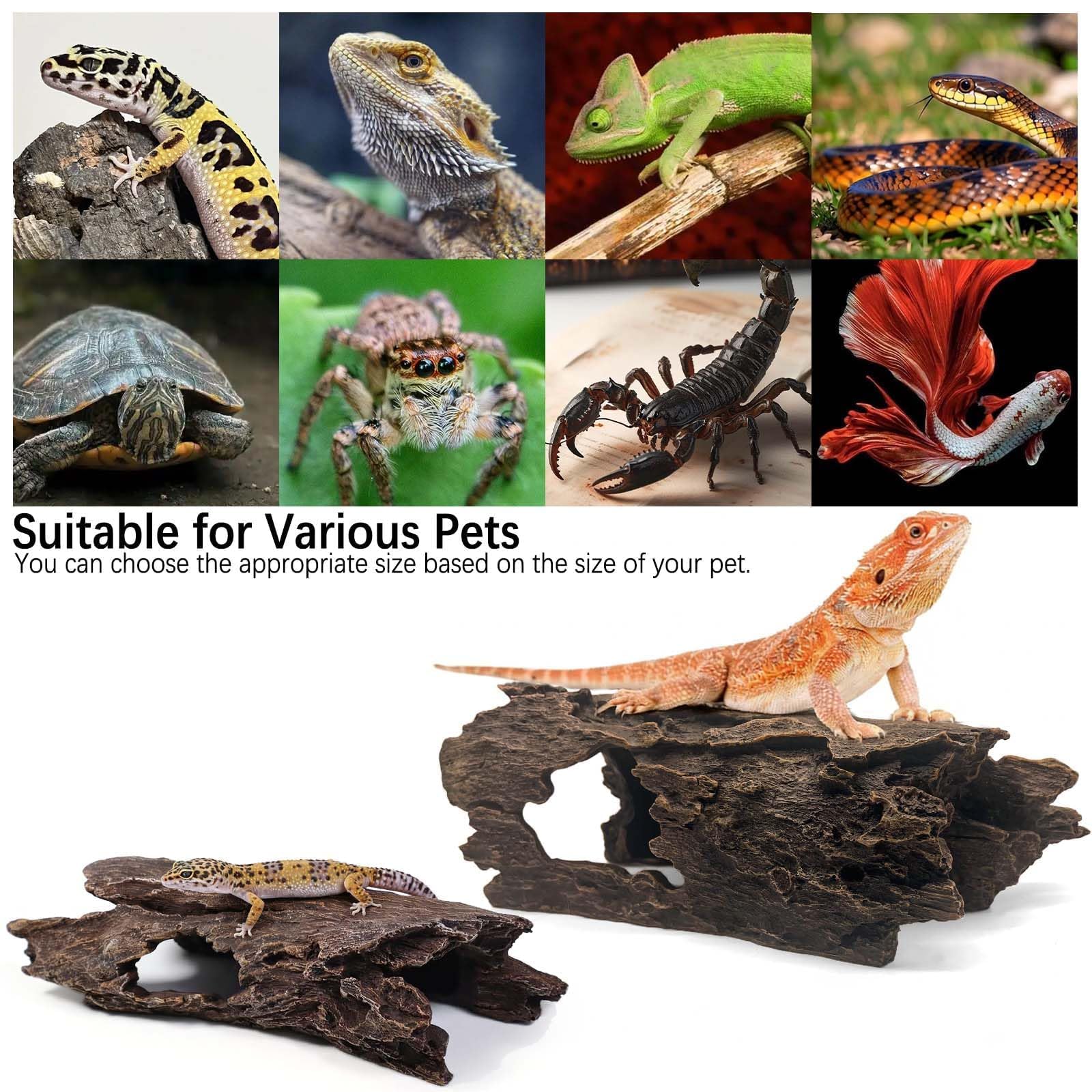 Tfwadmx Escondite de madera para reptiles, peces, anfibios, acuarios, tanques