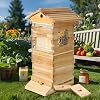 Flow Bee Hive Starter Kit, Features 4 Auto Honey Frames & 6 Brood Frames, Durable Wooden Construction, Complete Beekeeping Supplies for Easy Harvesting
