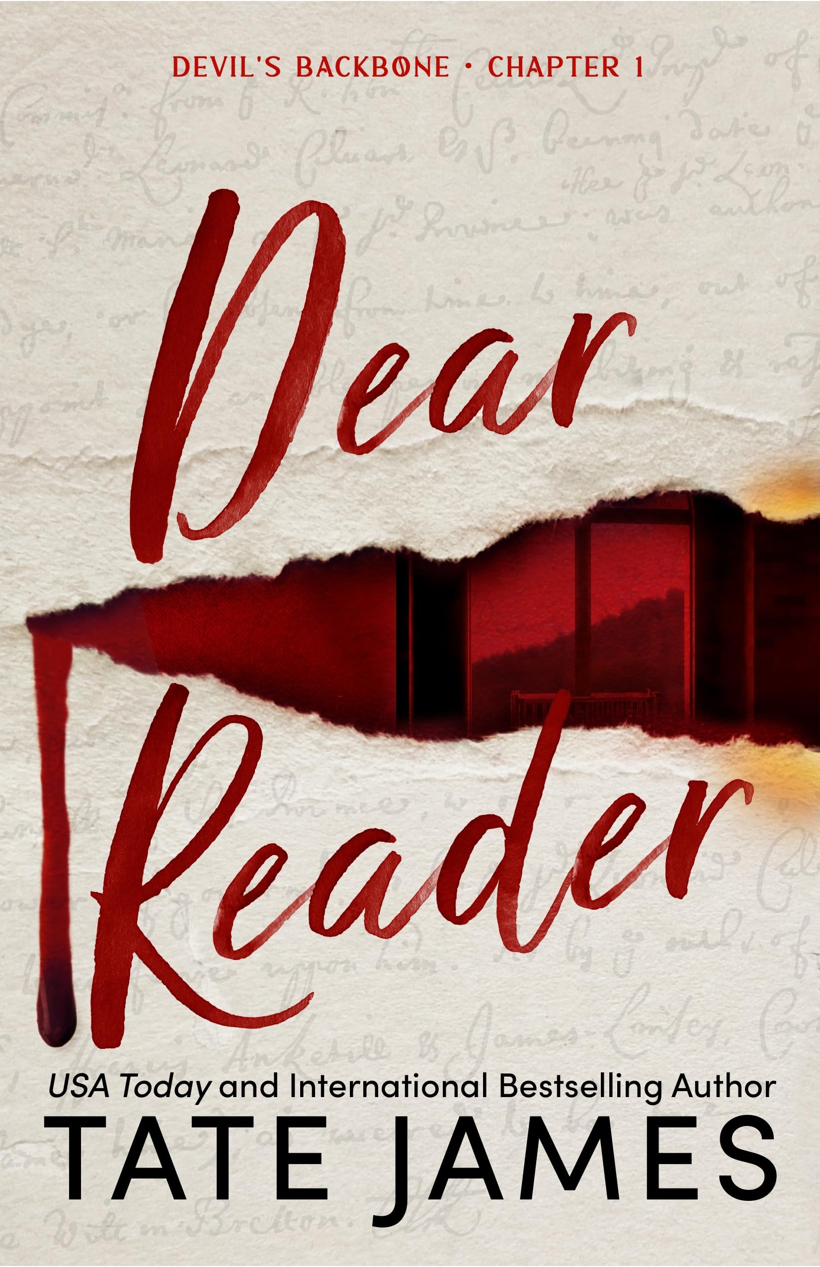 Dear Reader: The First in A Dark Academia Why Choose Romance Trilogy (Devil's Backbone)