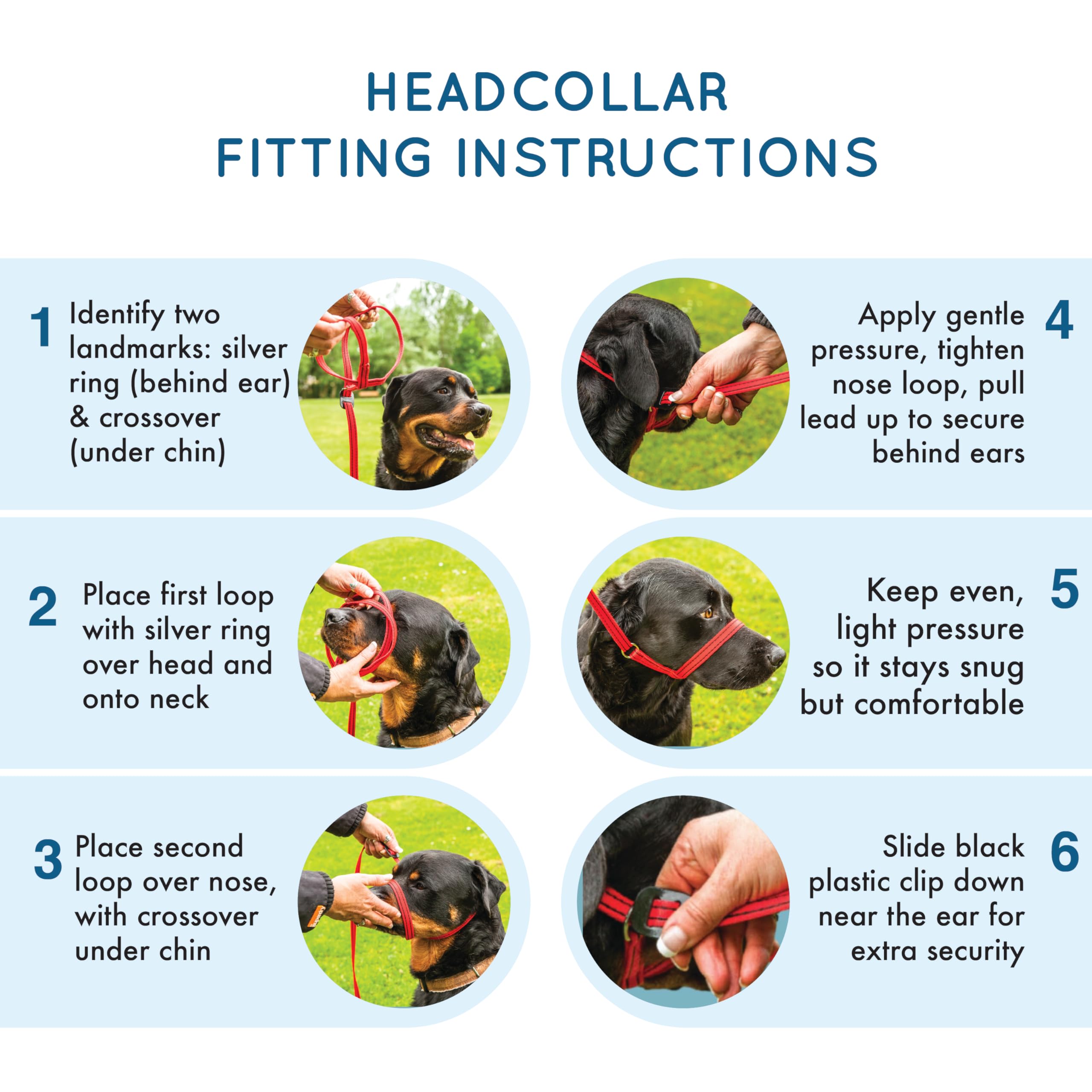 Gencon Headcollar Left