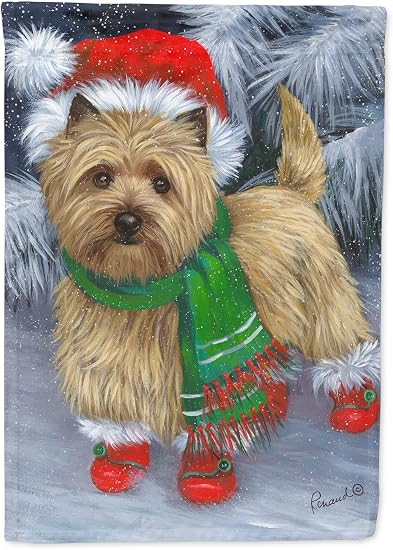 Amazon.com: Caroline's Treasures PPP3058CHF Cairn Terrier Botas de Navidad  rojas con bandera de lona tamaño de casa, grande, multicolor : Caroline's  Treasures: Todo lo demás