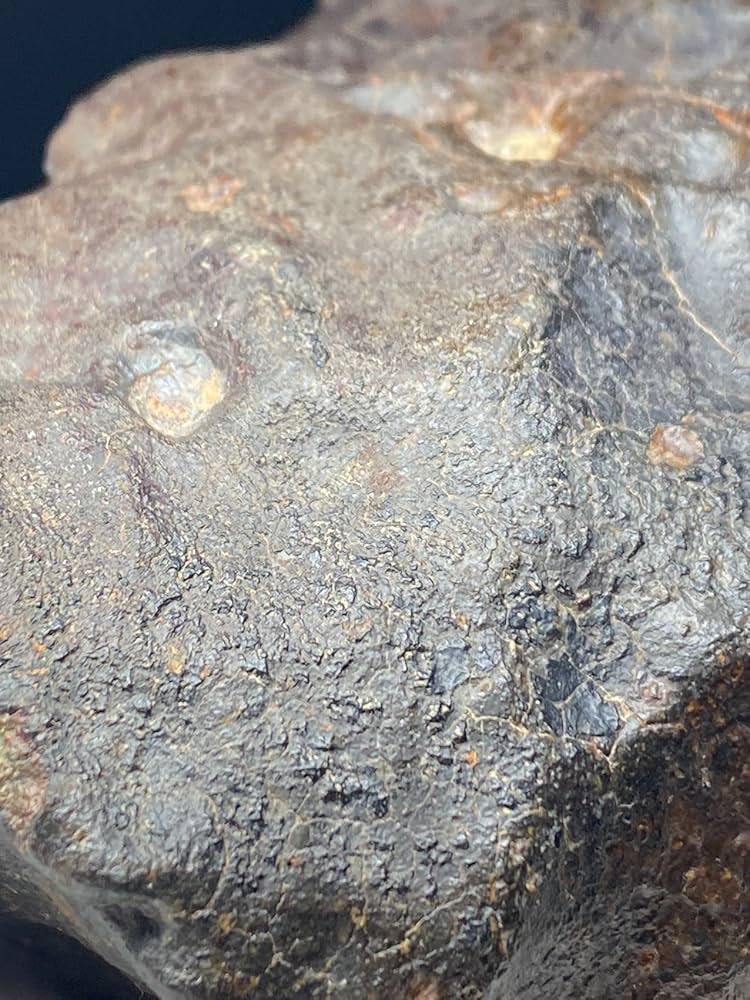 Amazon.co.jp: サハラ砂漠石隕石 NWA869石隕石 火星からの隕石