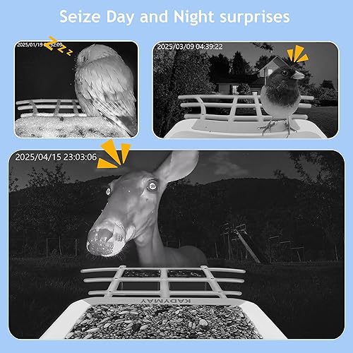 Miniatura 6 de Alimentador inteligente para pájaros de 64 GB con cámara alimentada por energía solar, identificación AI de 10 K + Aves, video en vivo HD de 2K 3MP