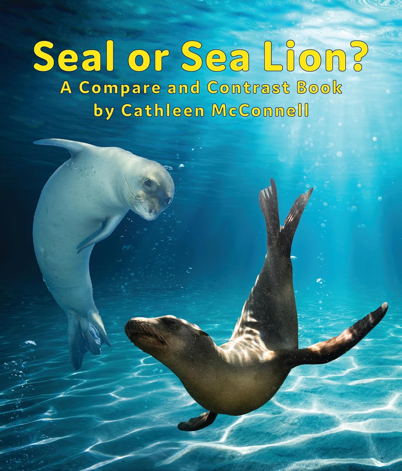 Buy Seals or Sea Lions? a Compare and Contrast Book Book Online at Low